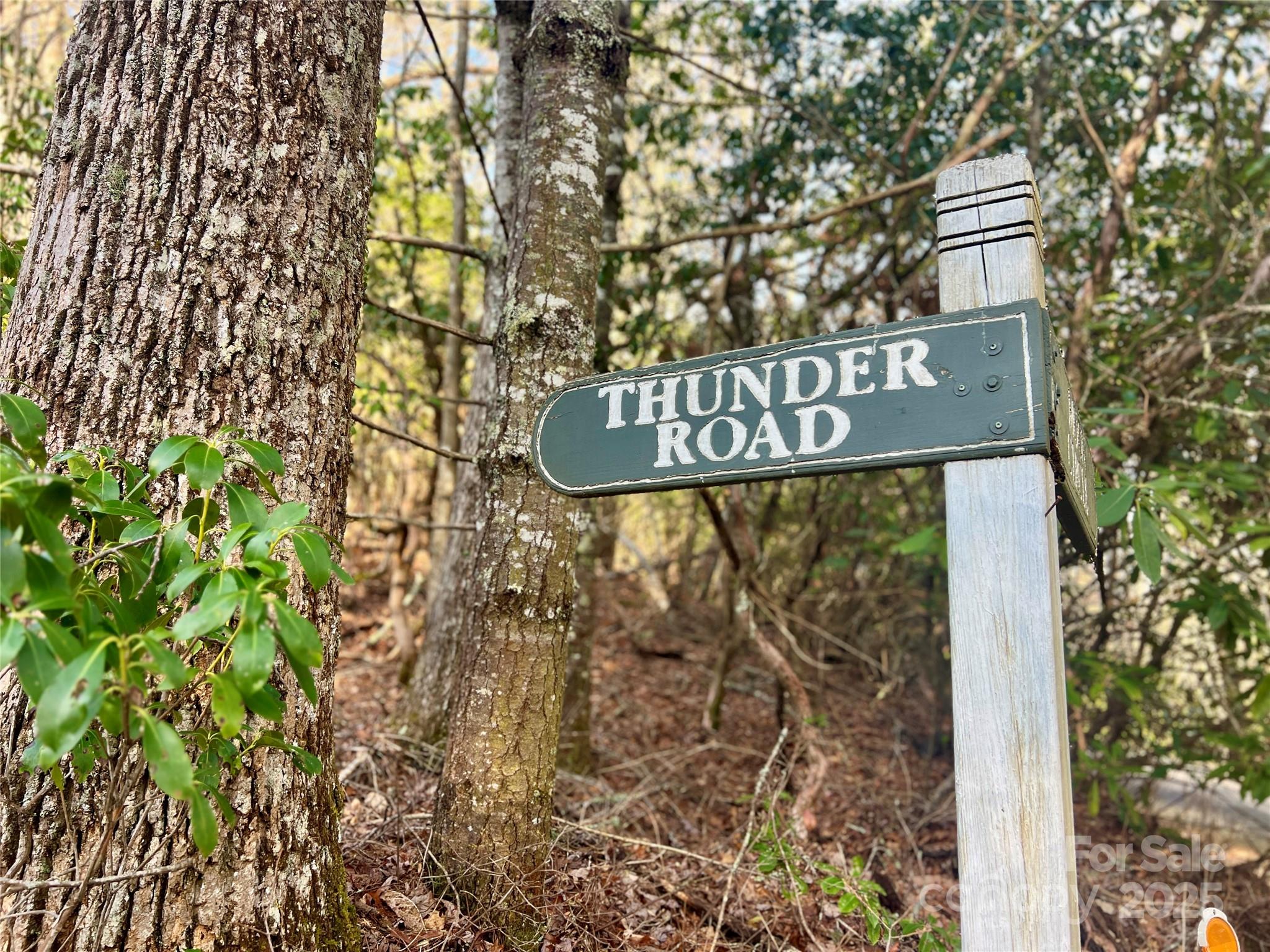 Lot 131 Thunder Road Property Photo 4