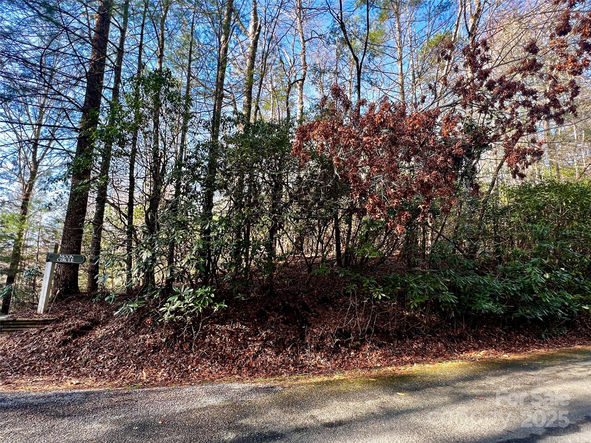 Lot 131 Thunder Road Property Photo 5