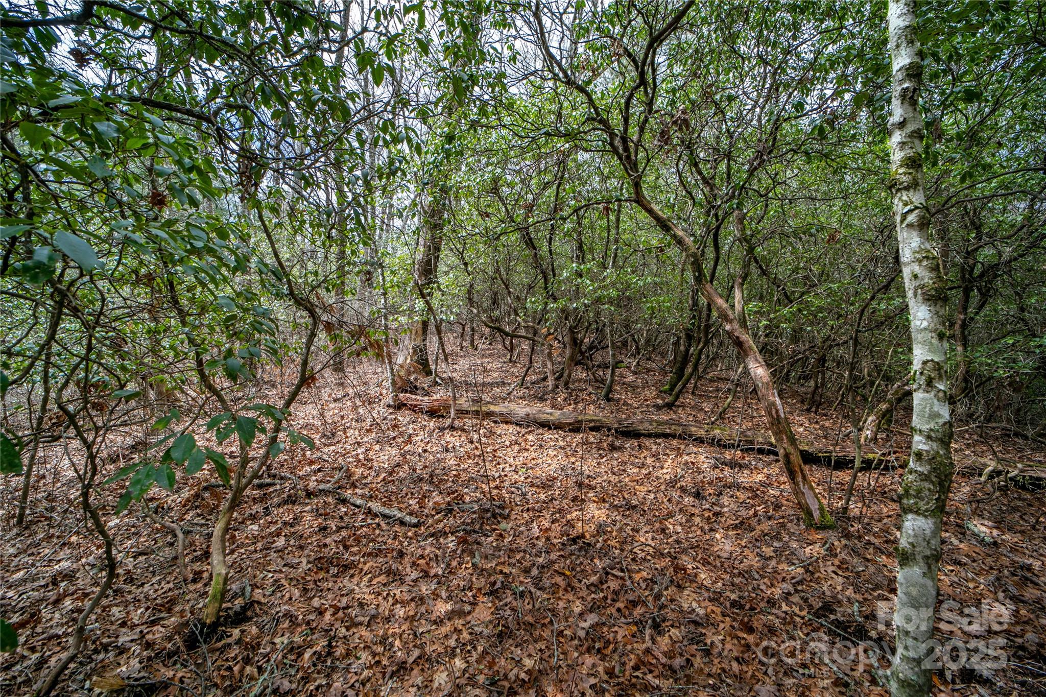 Lot 131 Thunder Road Property Photo 7