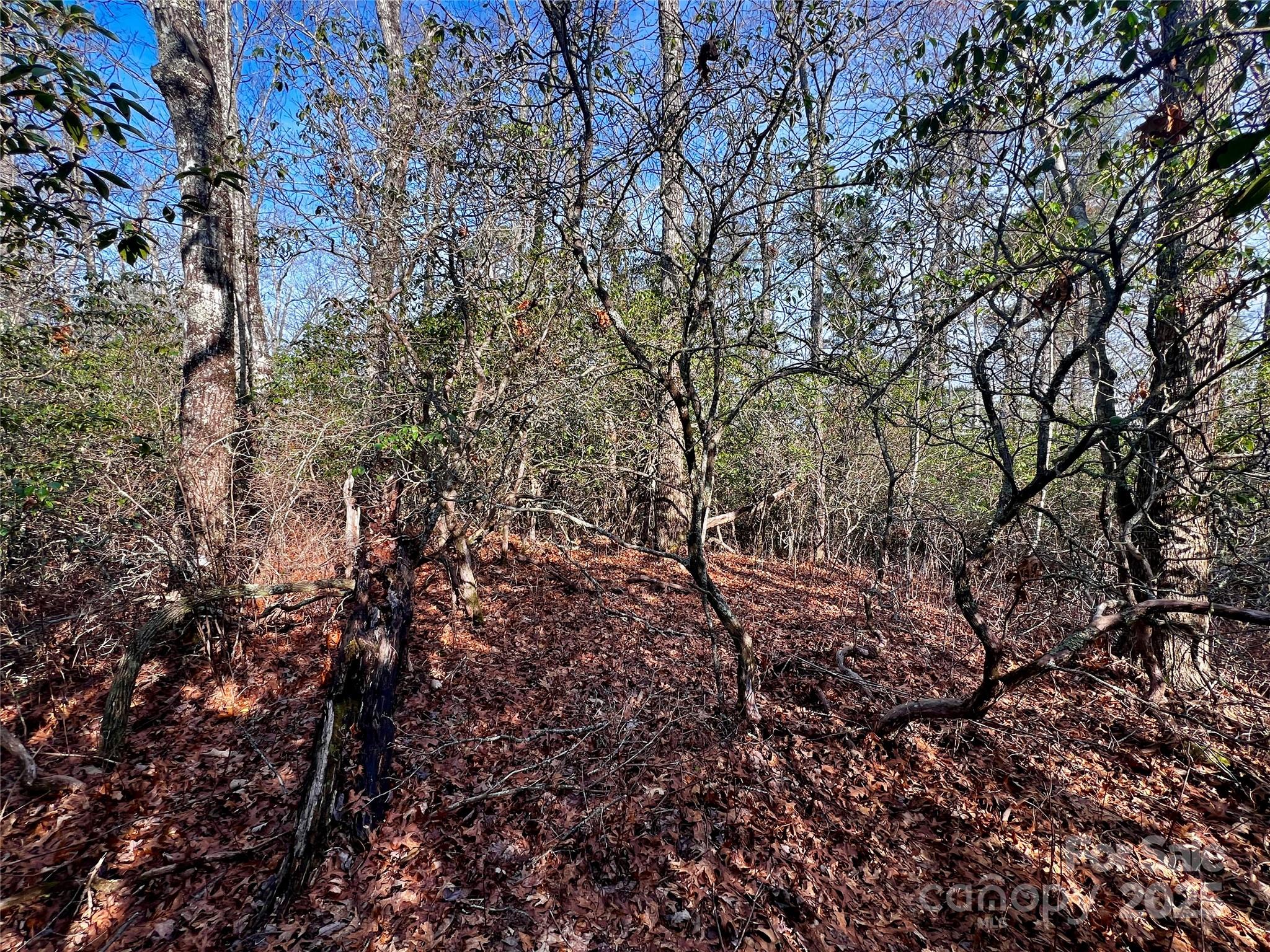 Lot 131 Thunder Road Property Photo 8