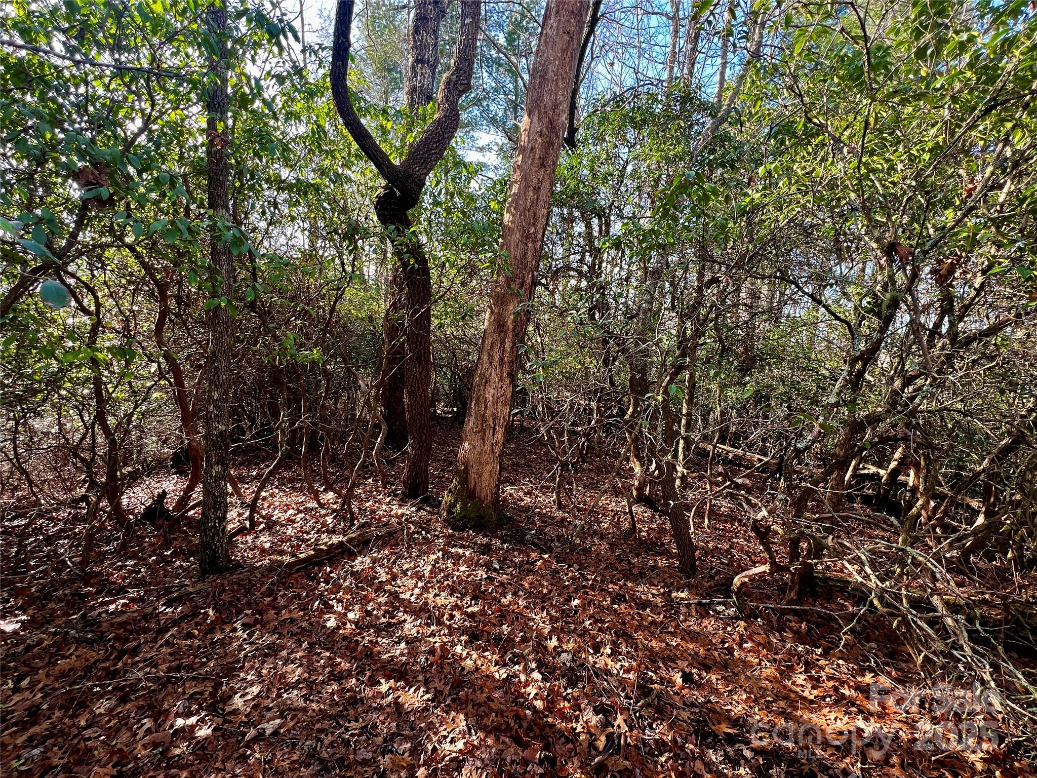 Lot 131 Thunder Road Property Photo 9