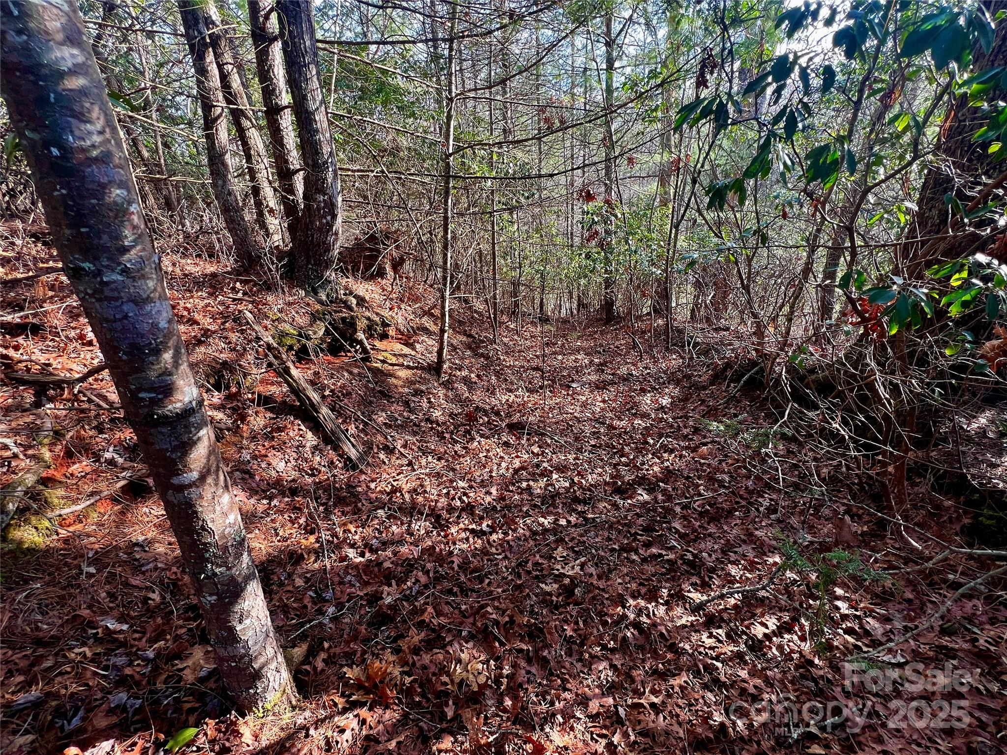 Lot 131 Thunder Road Property Photo 10