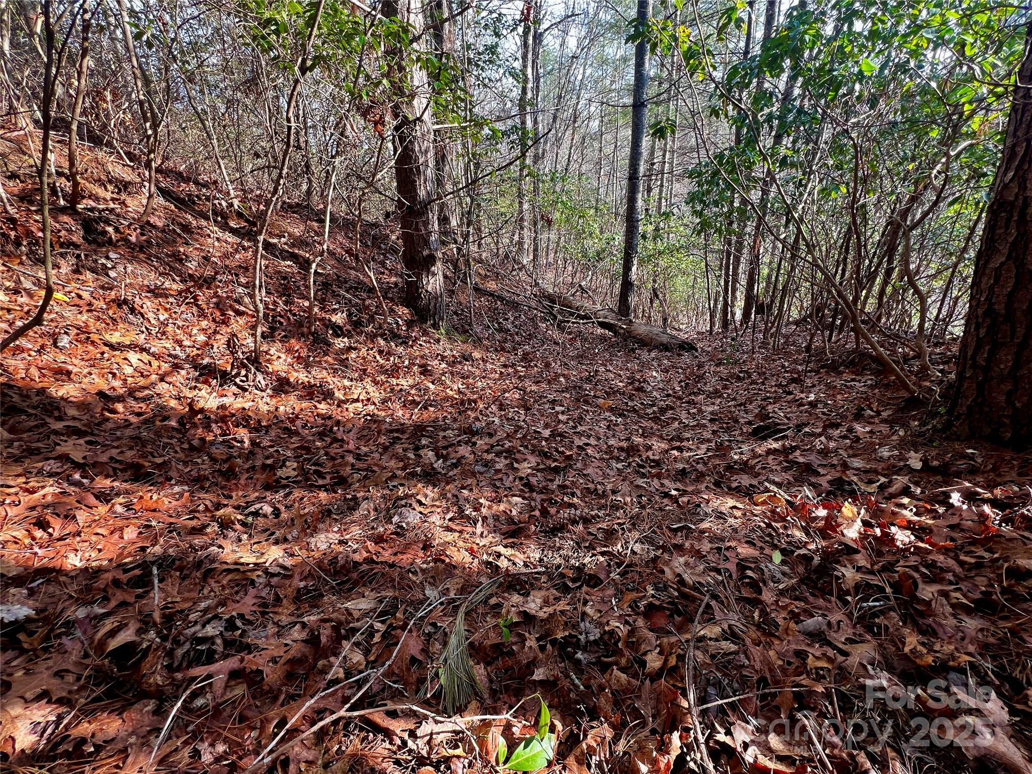 Lot 131 Thunder Road Property Photo 12