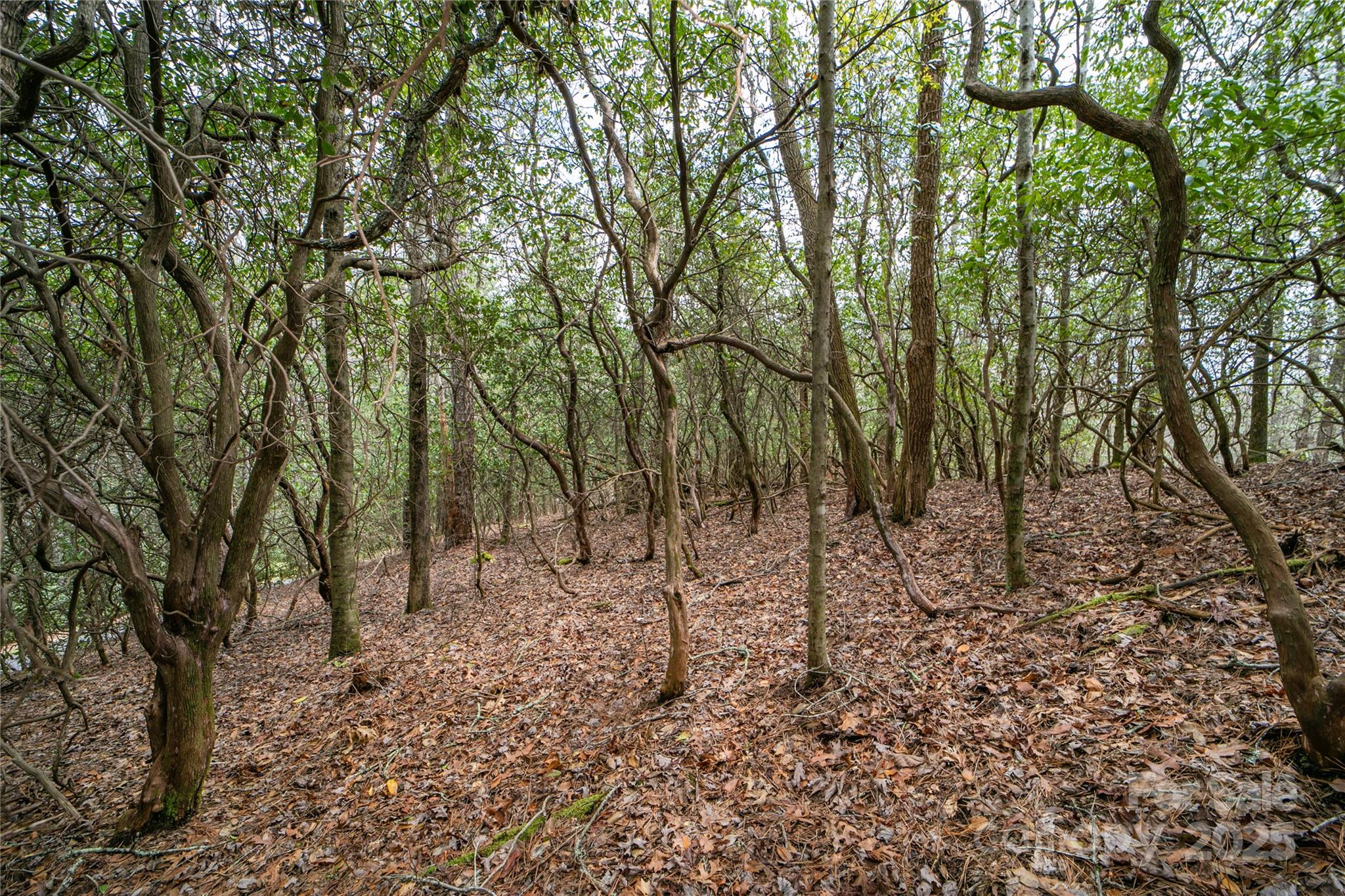 Lot 131 Thunder Road Property Photo 13
