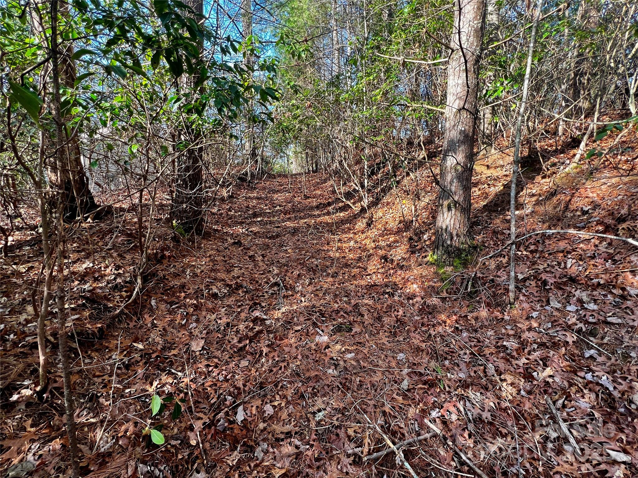 Lot 131 Thunder Road Property Photo 14