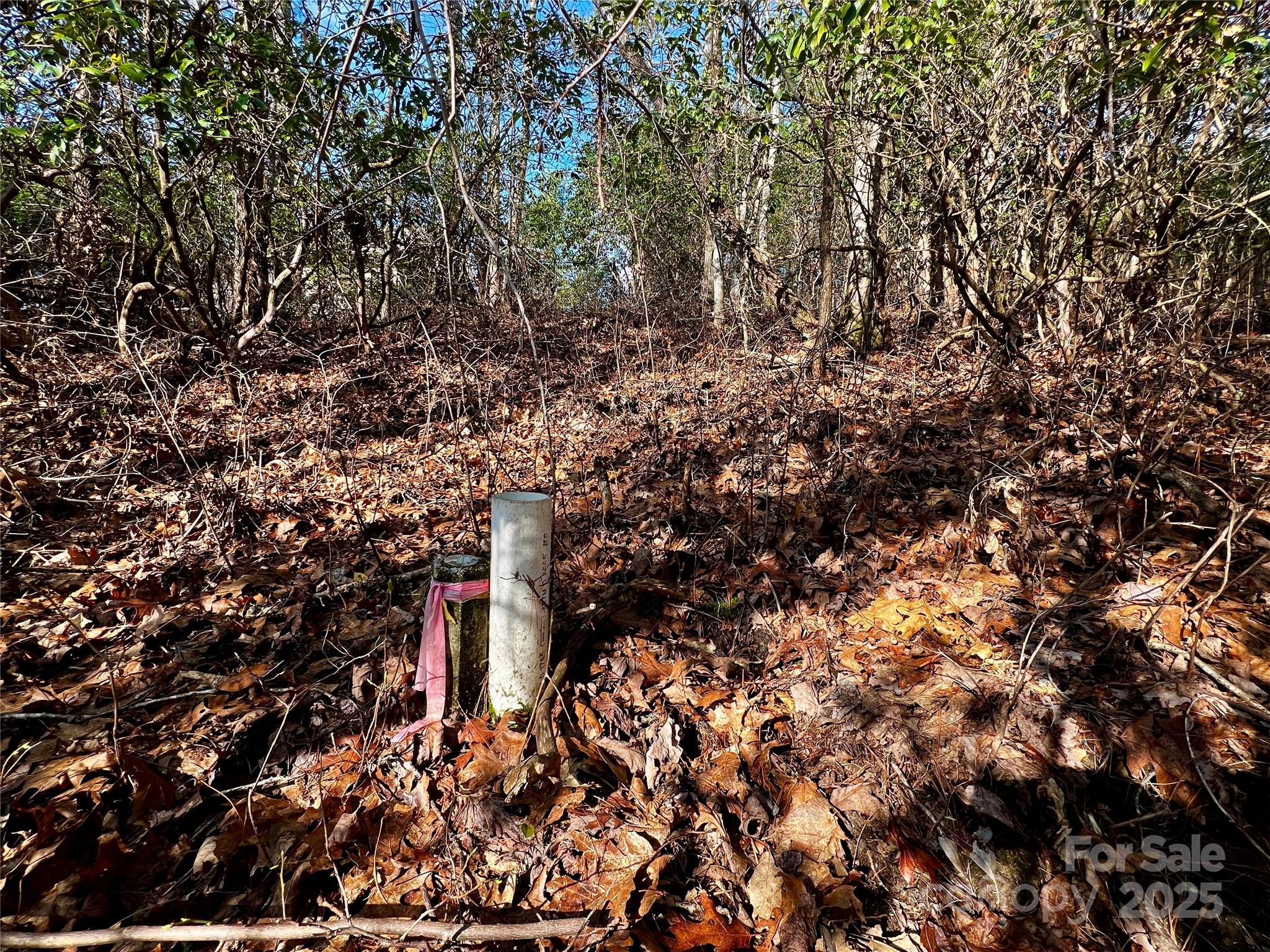 Lot 131 Thunder Road Property Photo 15