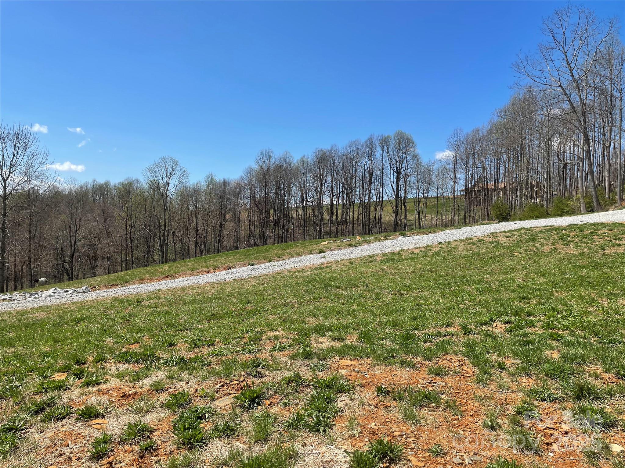 108 Blessed Valley Drive Property Photo 4