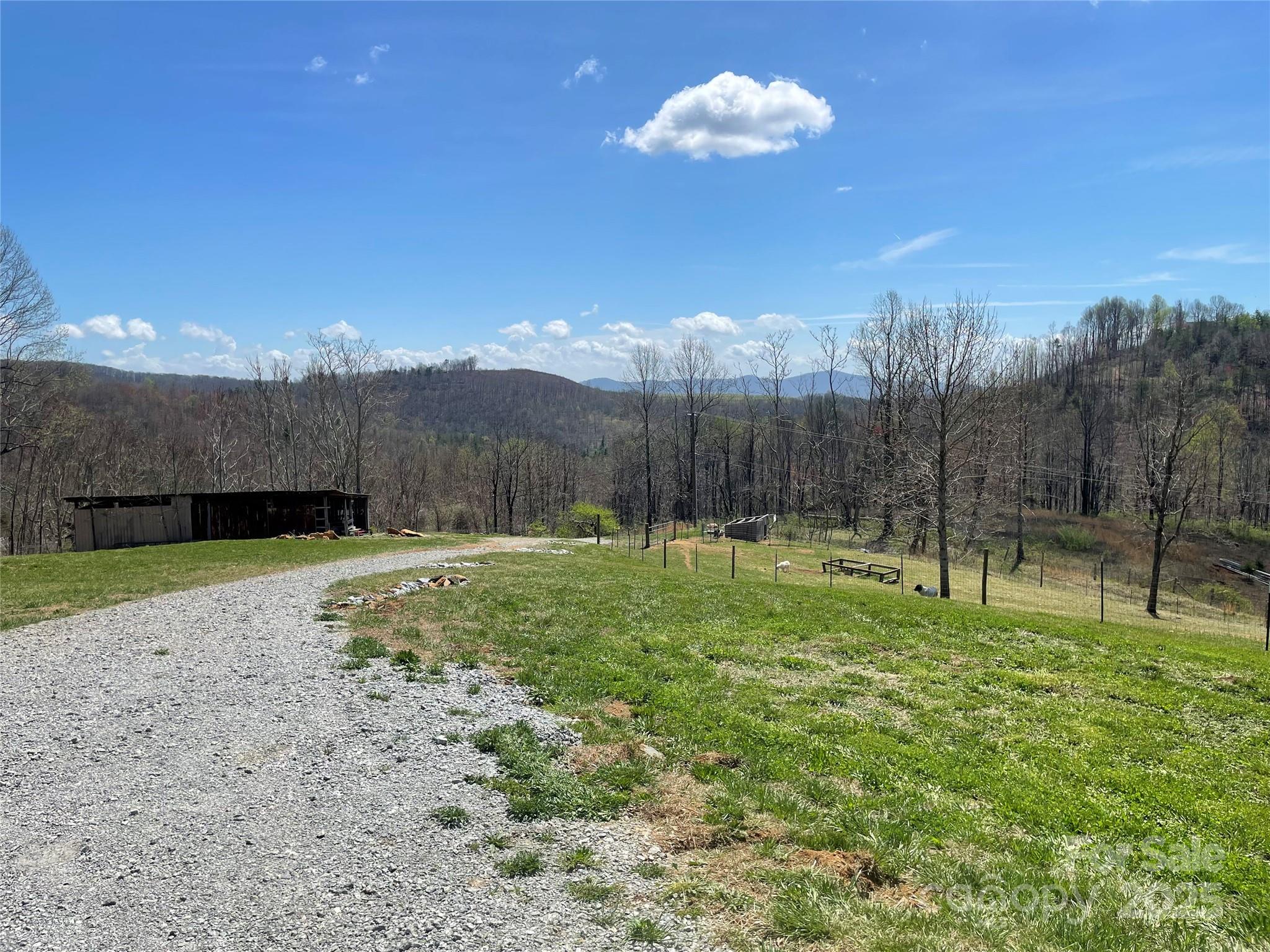 108 Blessed Valley Drive Property Photo 6