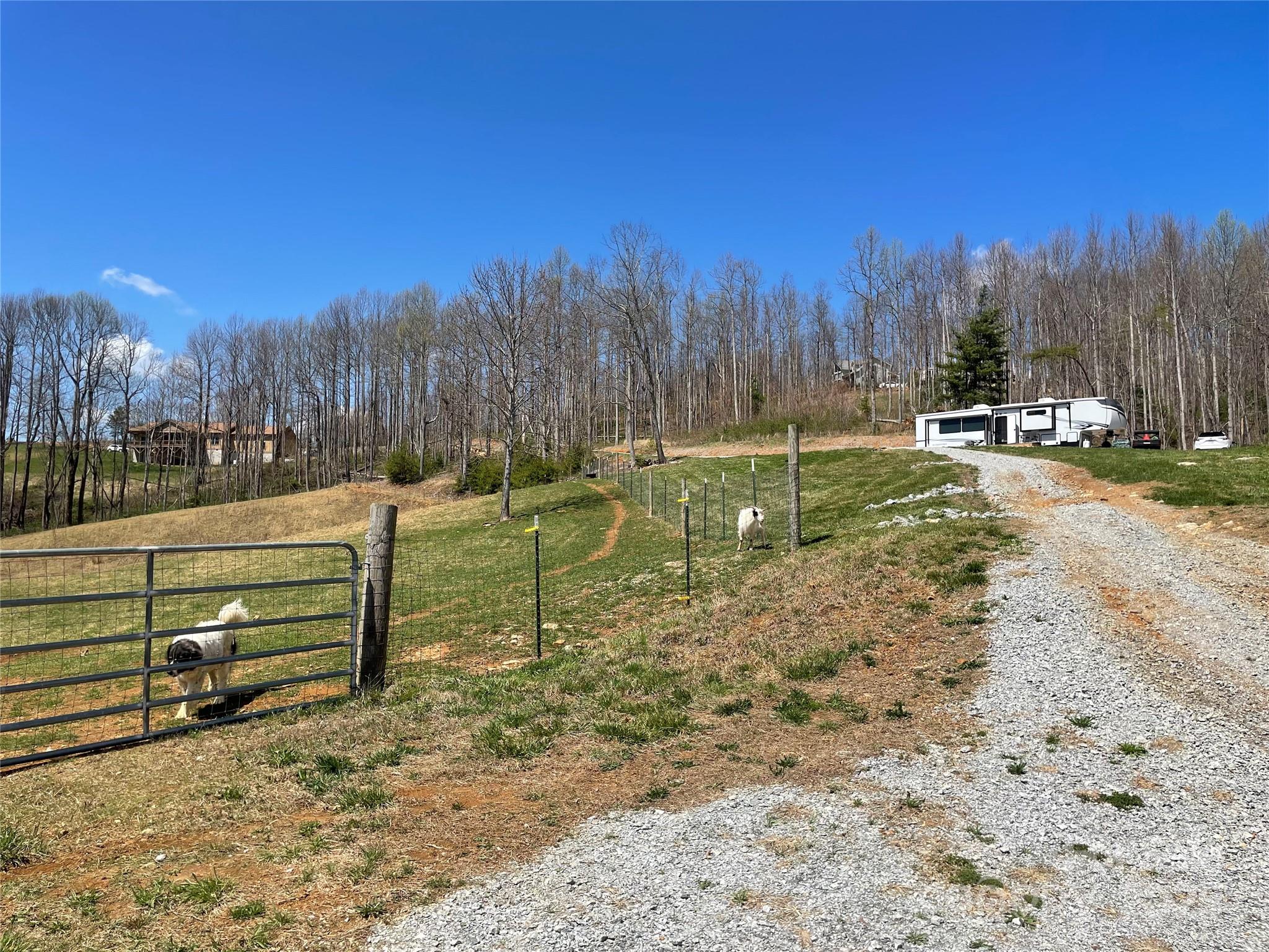 108 Blessed Valley Drive Property Photo 19