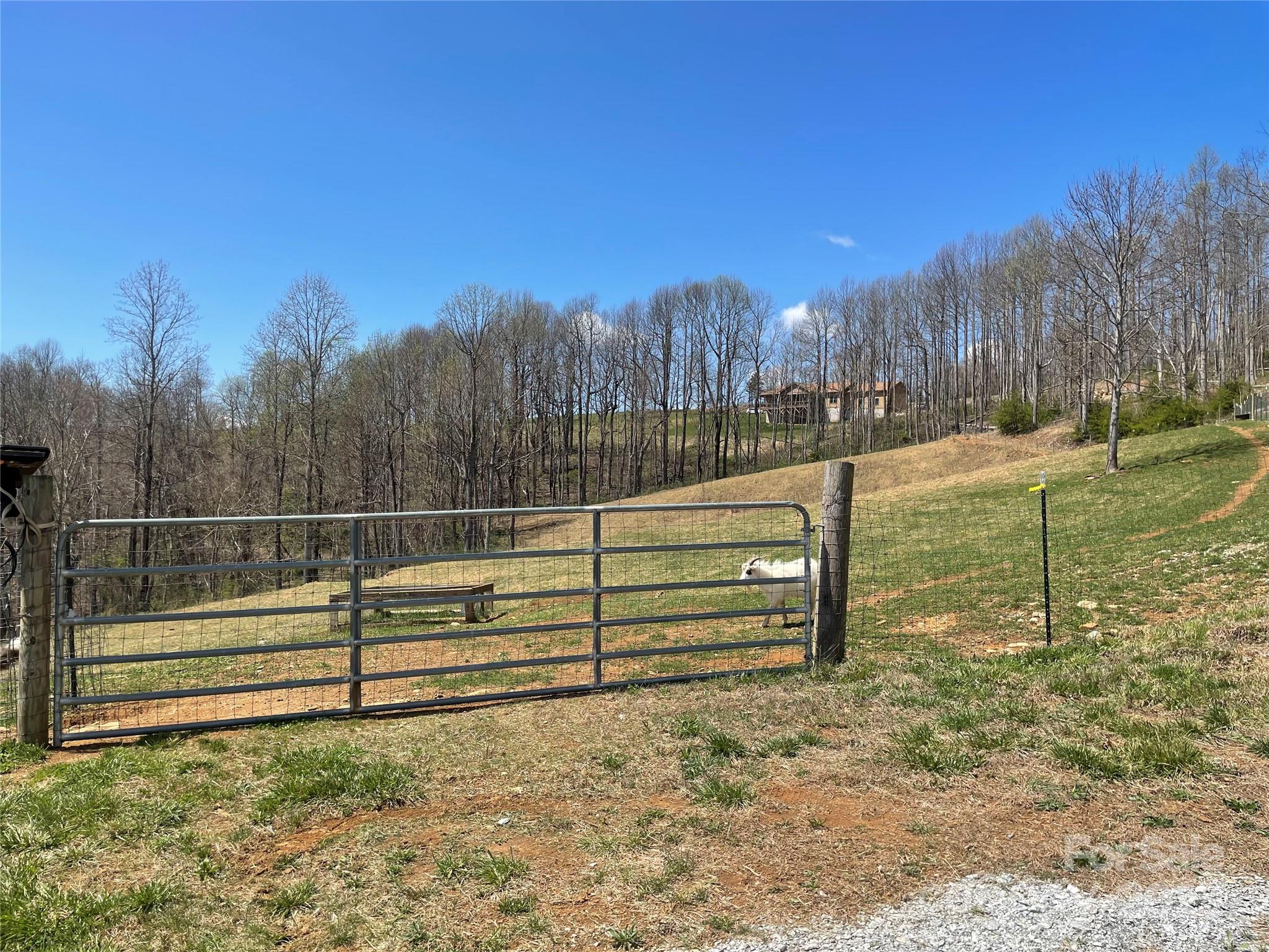 108 Blessed Valley Drive Property Photo 22