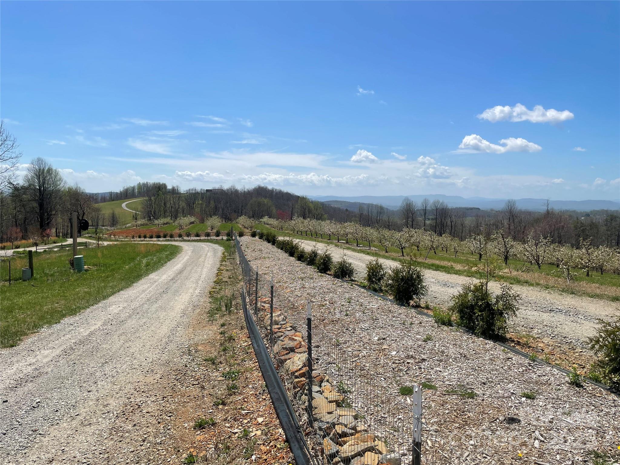 108 Blessed Valley Drive Property Photo 29