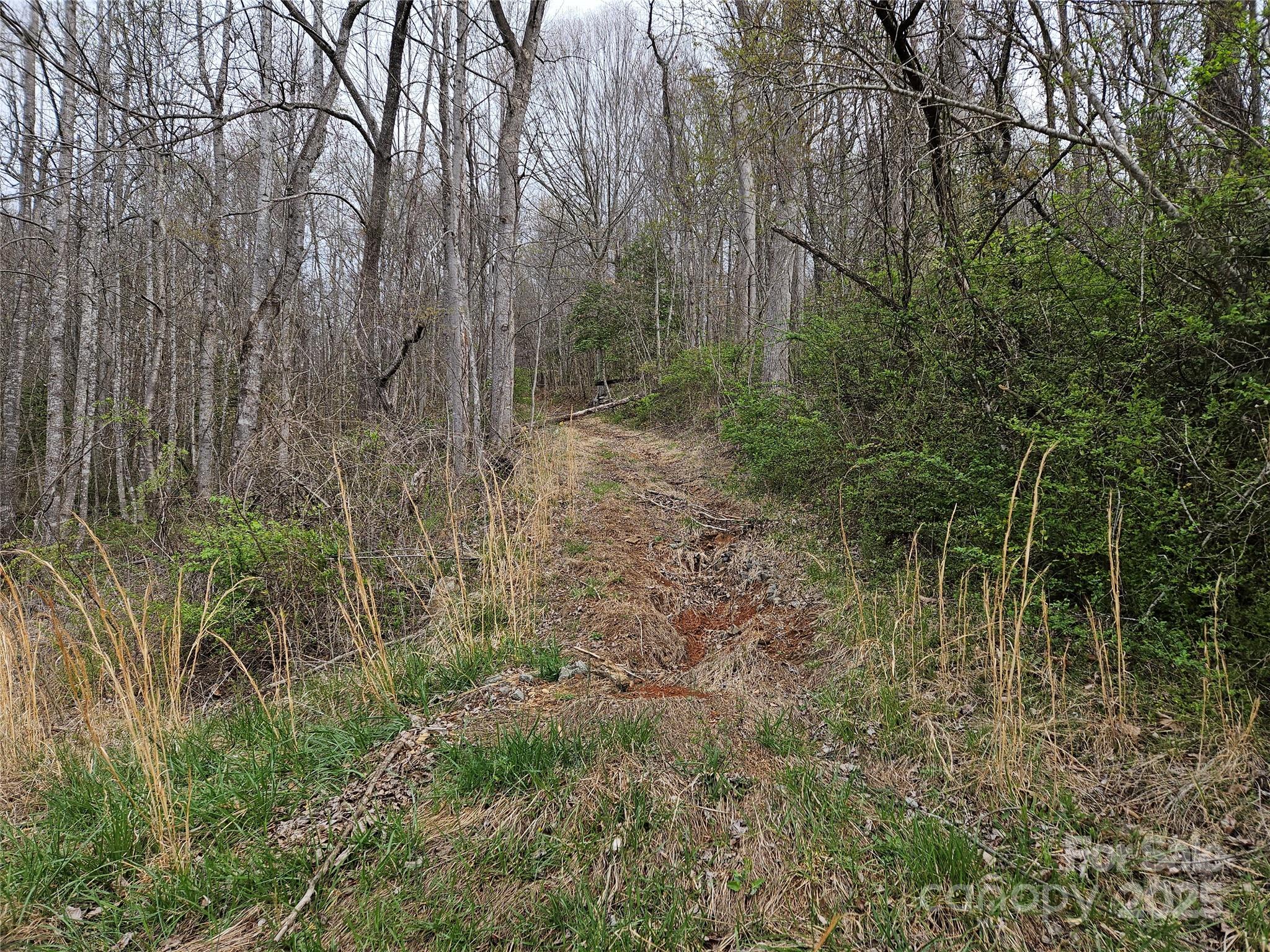 99999 Patton Hill Road 3 Property Photo