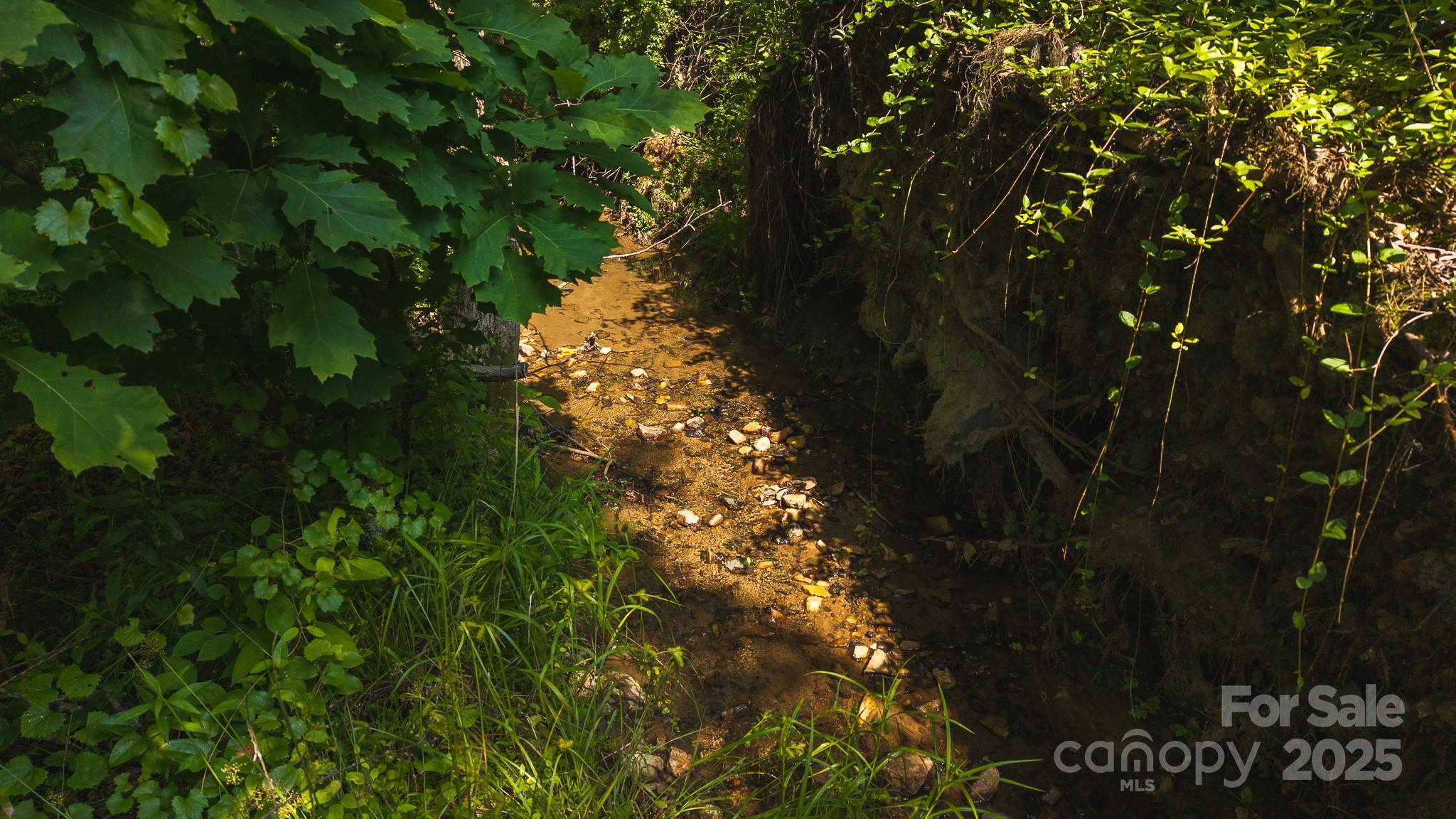 0 Old Vashti Road 2 Property Photo 4
