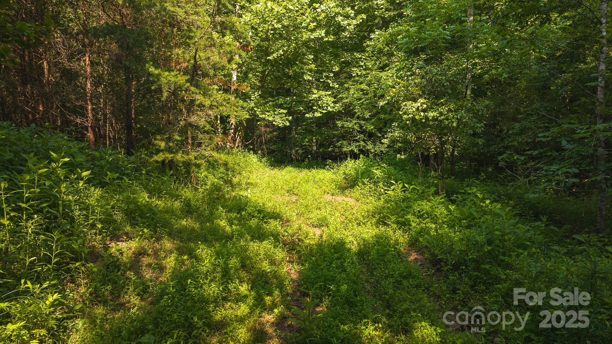 0 Old Vashti Road 2 Property Photo 7