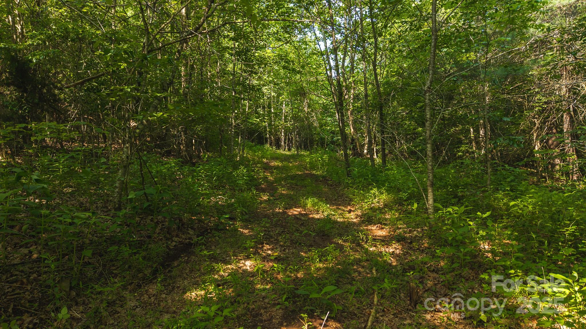 0 Old Vashti Road 2 Property Photo 8
