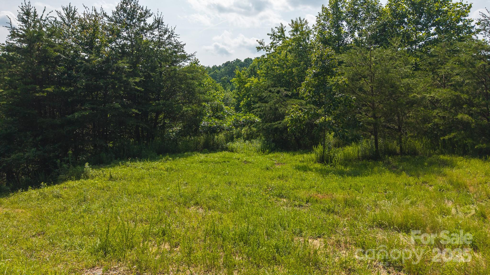 0 Old Vashti Road 2 Property Photo 15