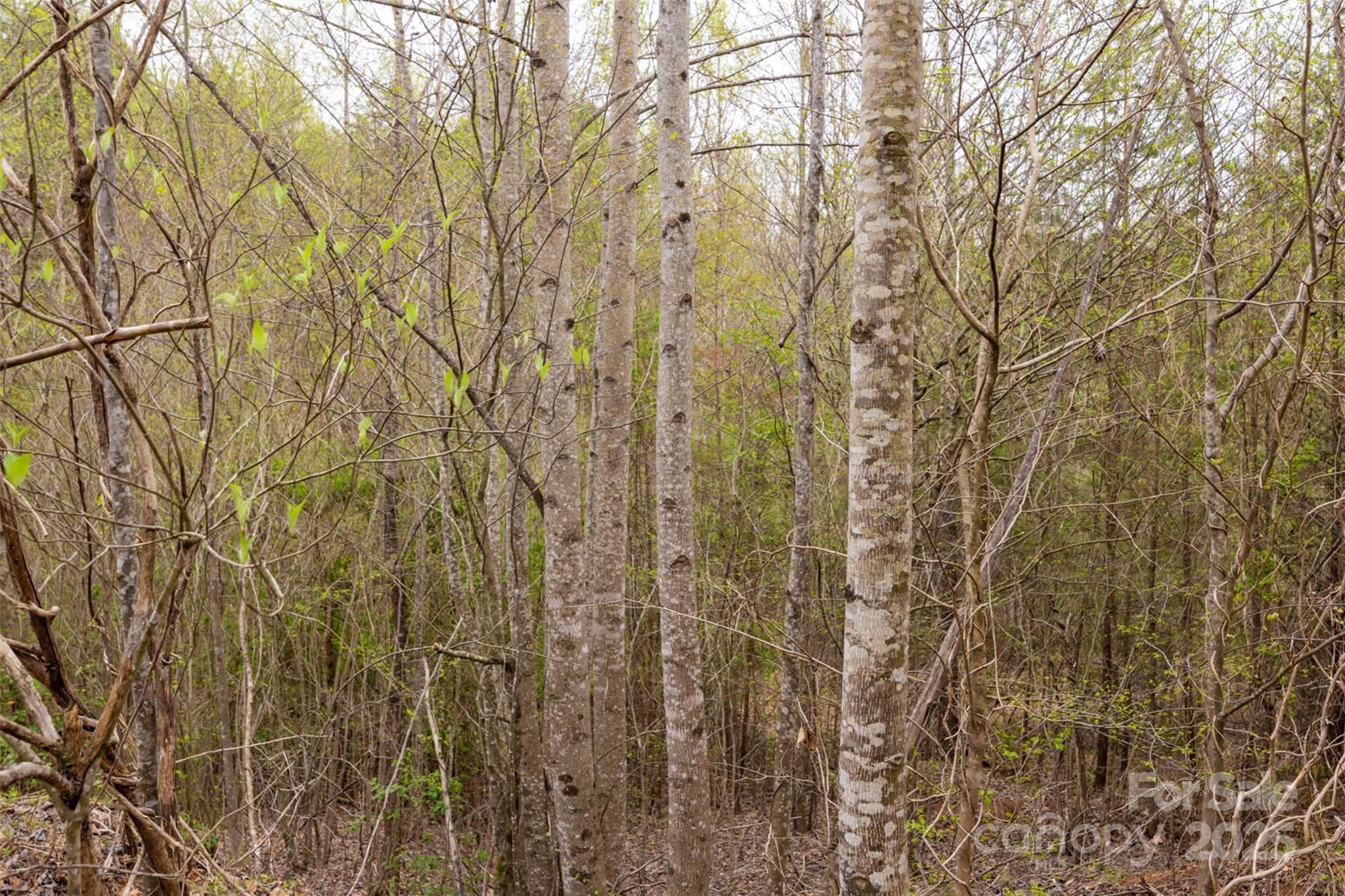 0 Old Vashti Road 2 Property Photo 24