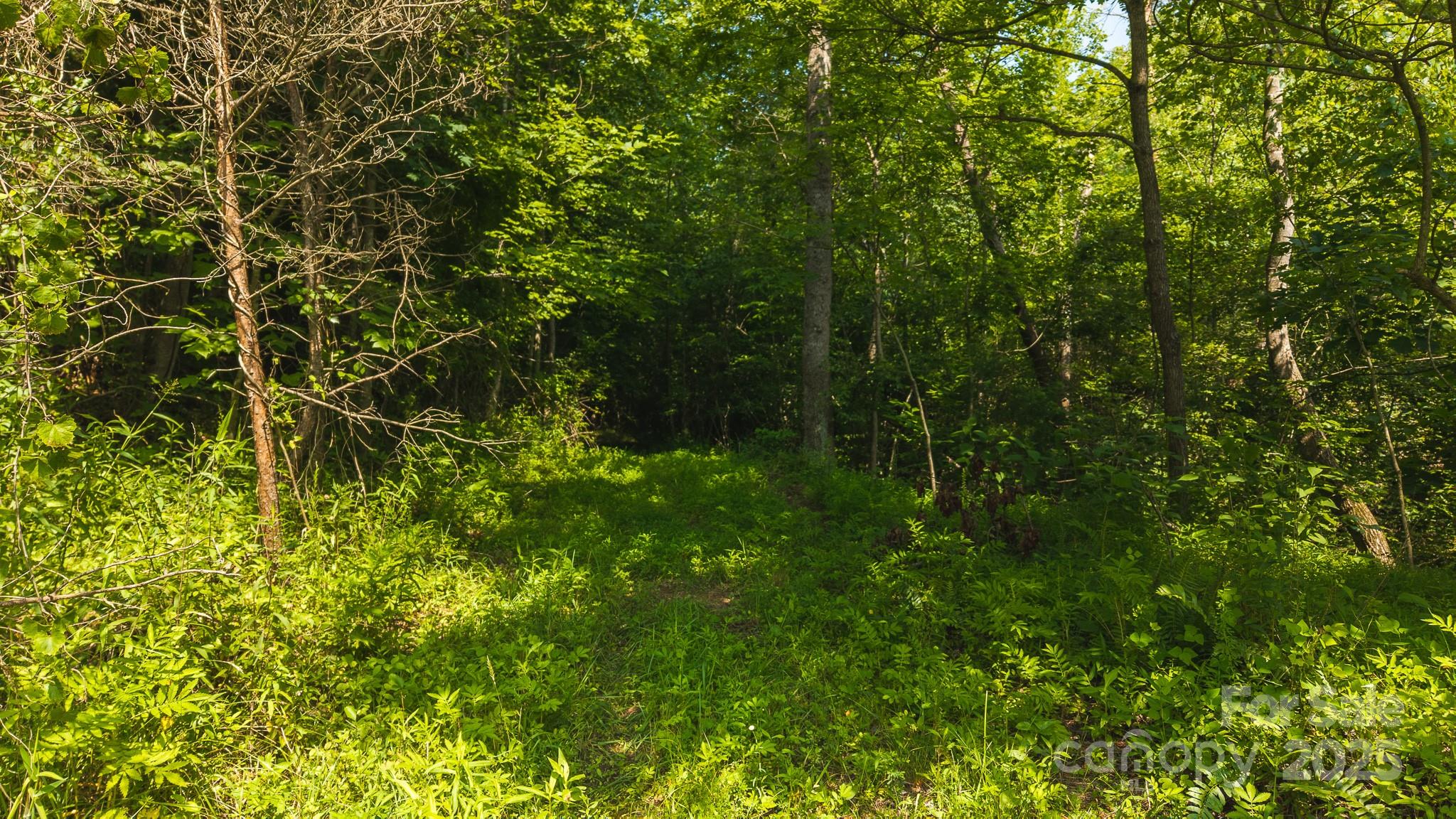 0 Old Vashti Road 2 Property Photo 36