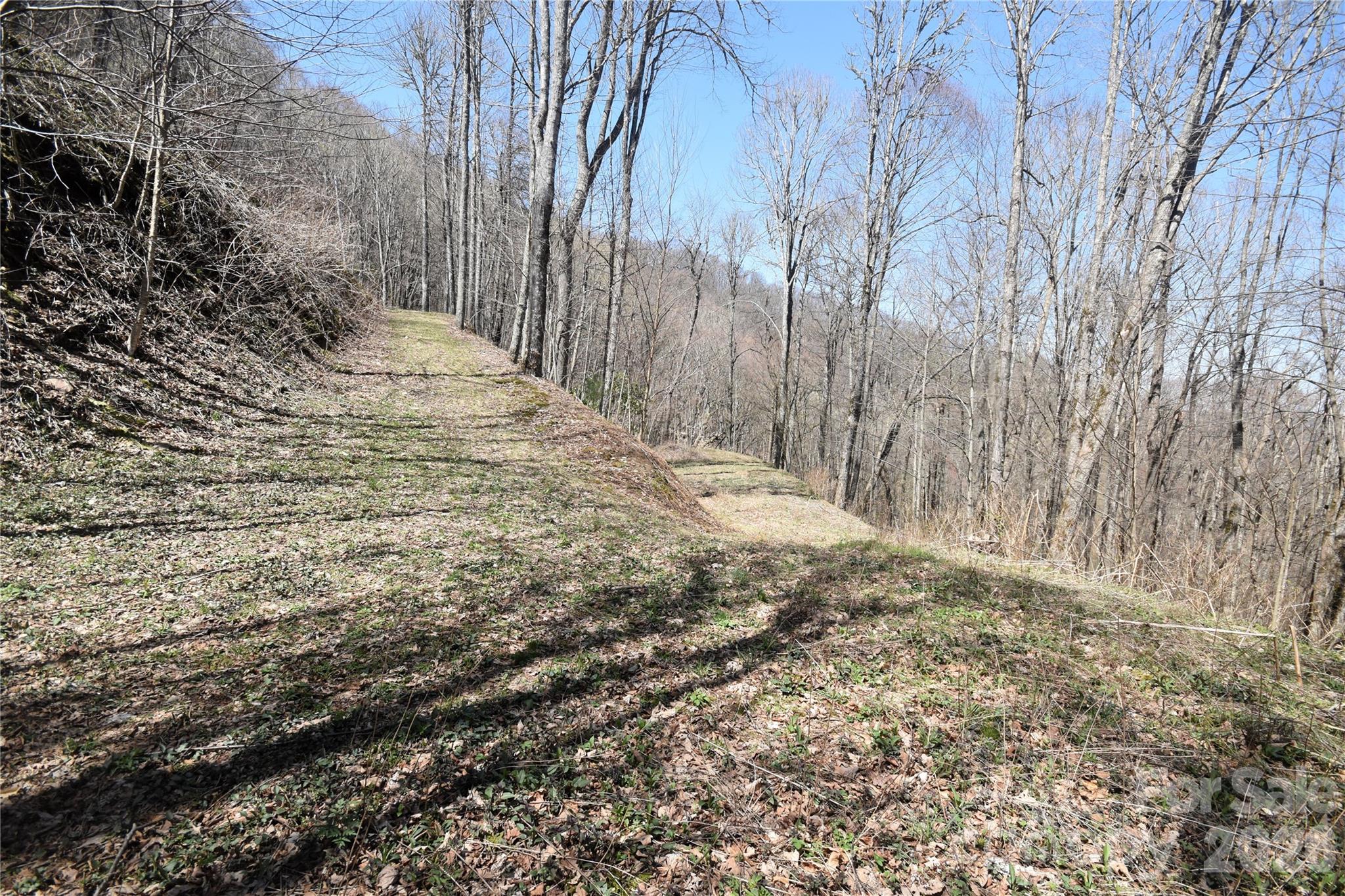000 Big Laurel Road A-16 & A-17 Property Photo 1