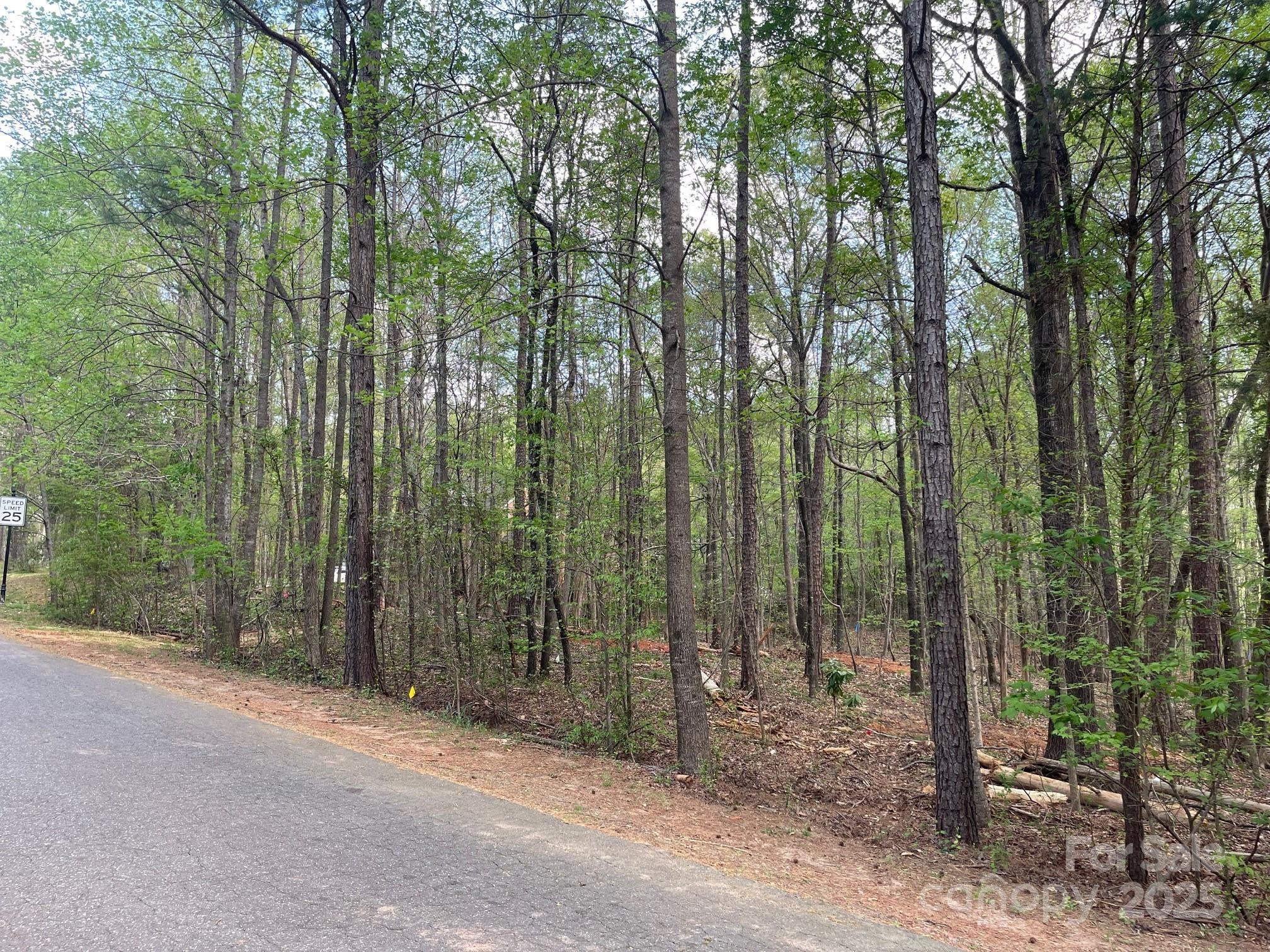 Lot 37 Willow Oaks Trail Property Photo 2