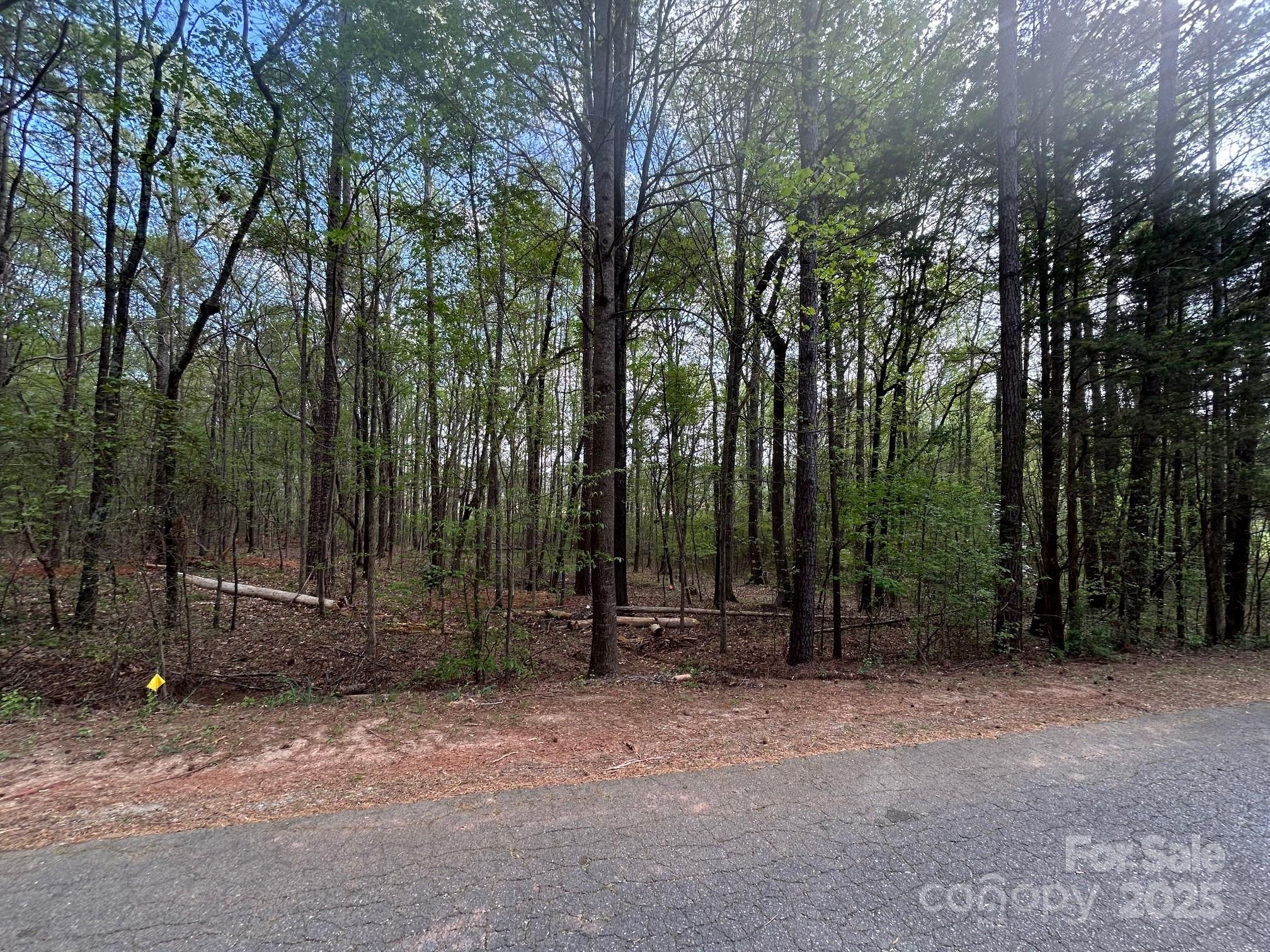 Lot 37 Willow Oaks Trail Property Photo 3