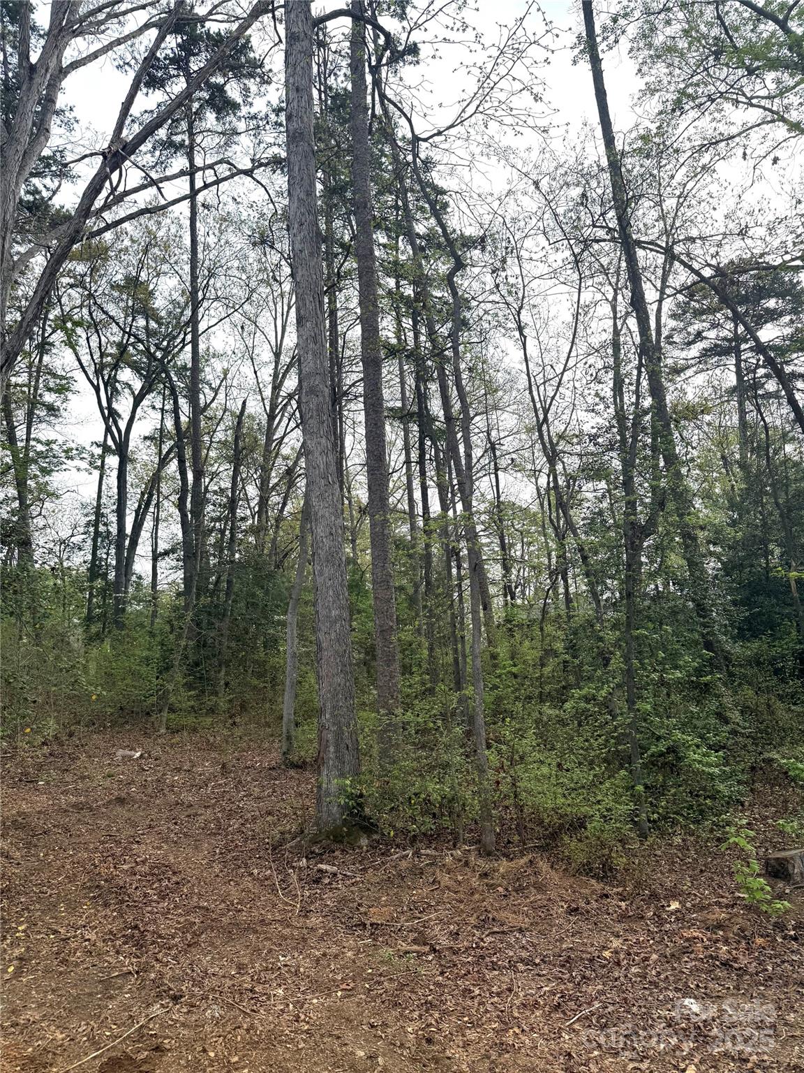 102 Archer Glen 27 Property Photo 5