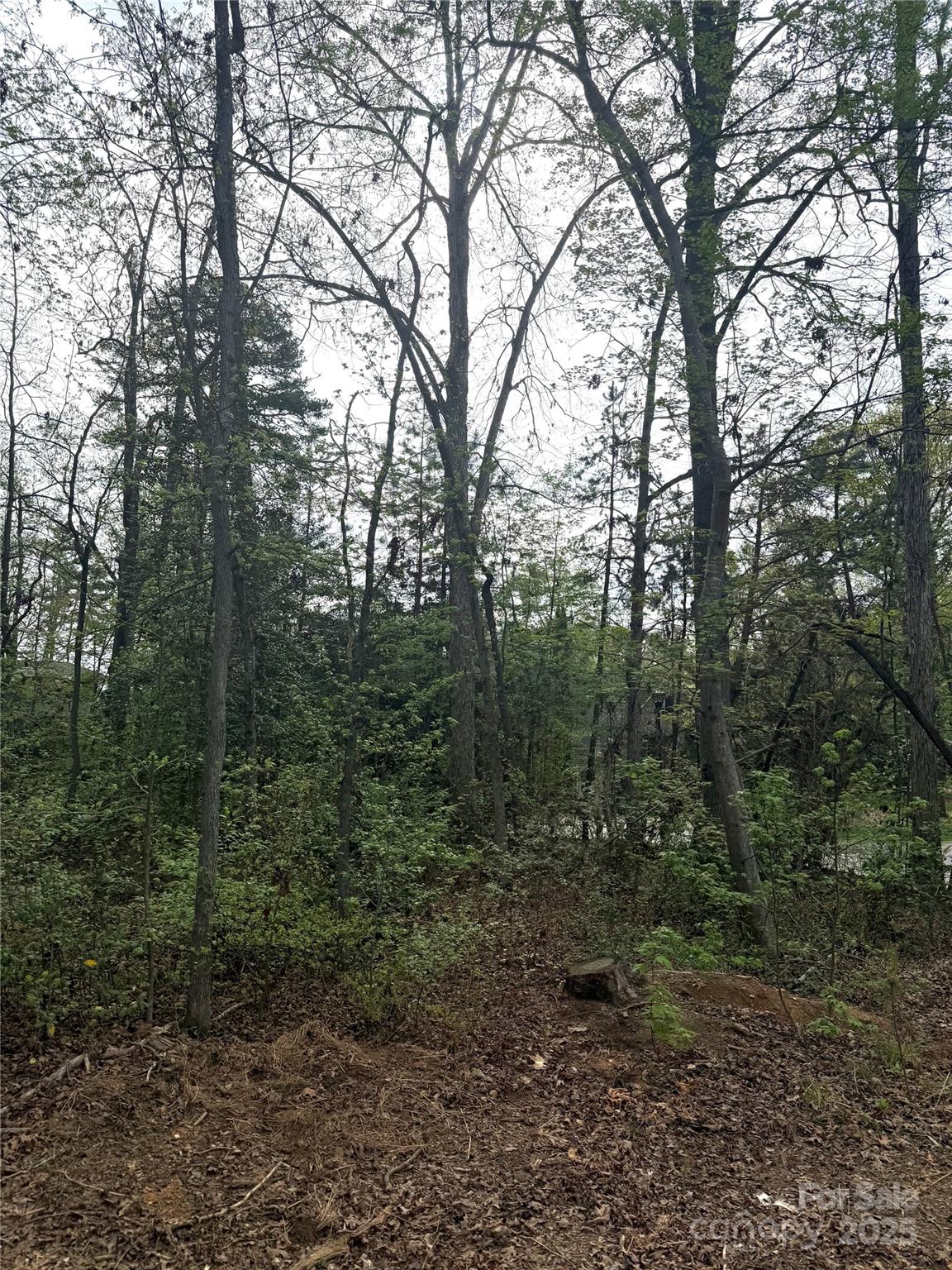 102 Archer Glen 27 Property Photo 6