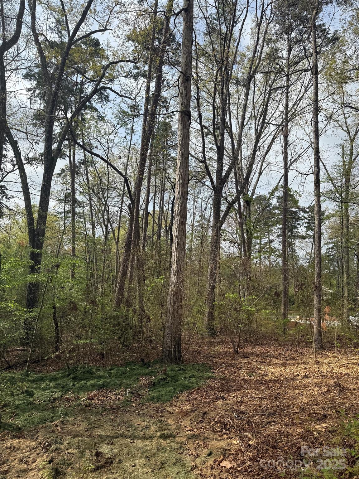 102 Archer Glen 27 Property Photo 17