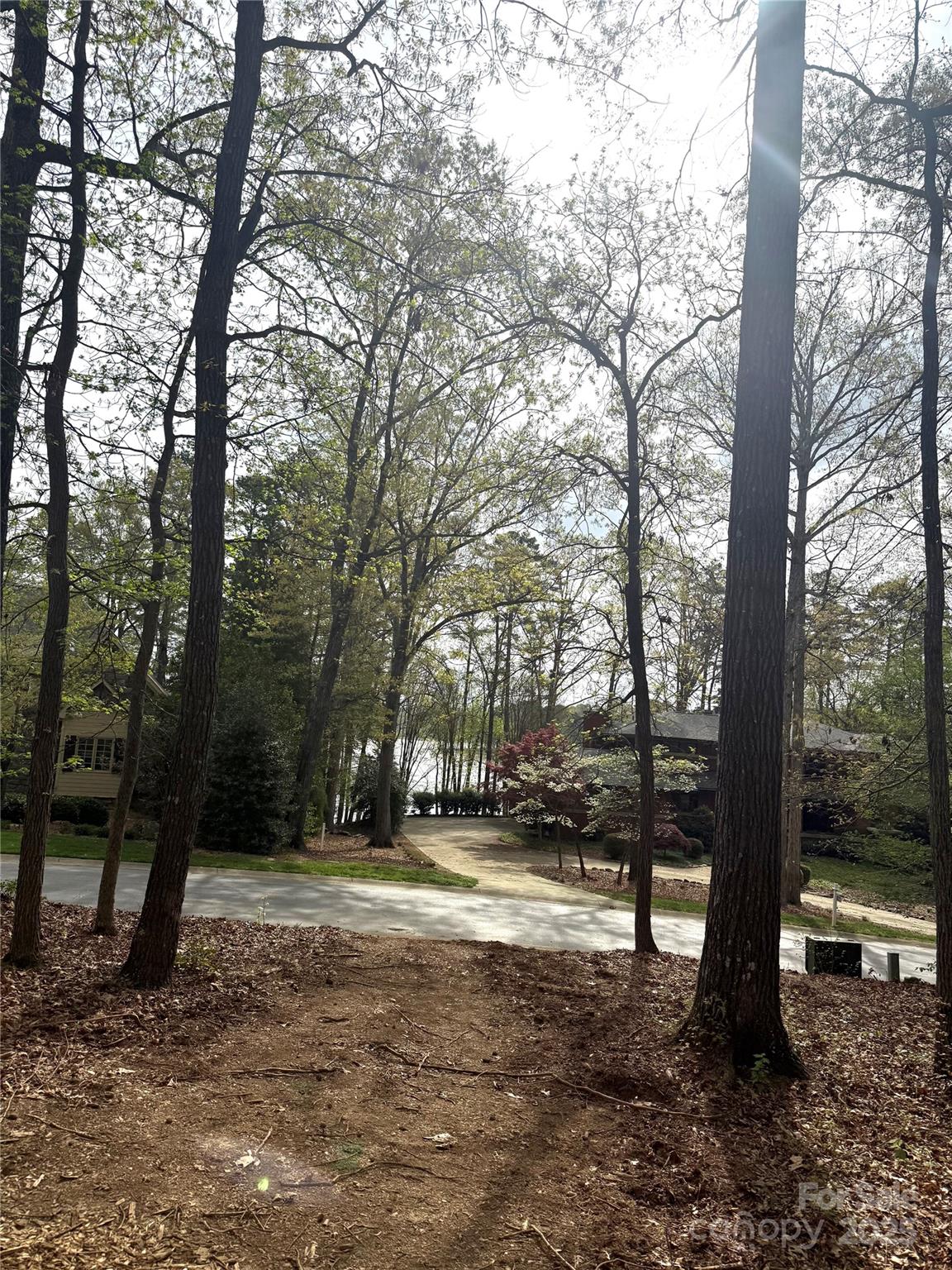 102 Archer Glen 27 Property Photo 18