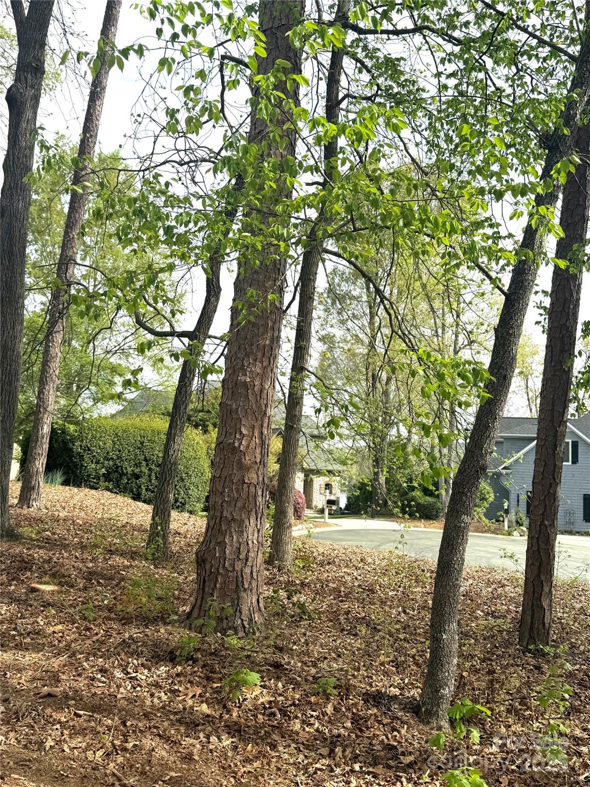 102 Archer Glen 27 Property Photo 19