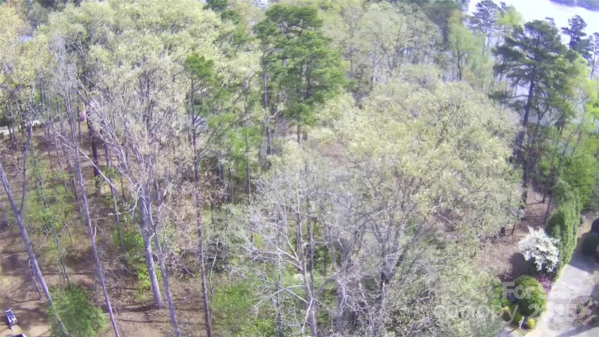 102 Archer Glen 27 Property Photo 28