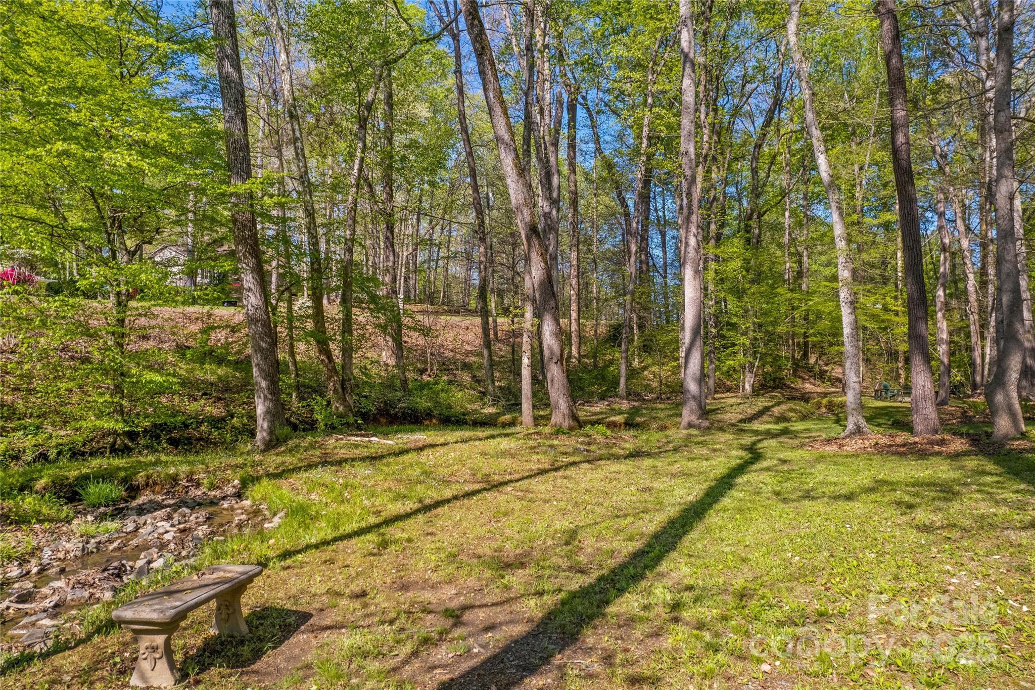 927 Smith Road Property Photo 4