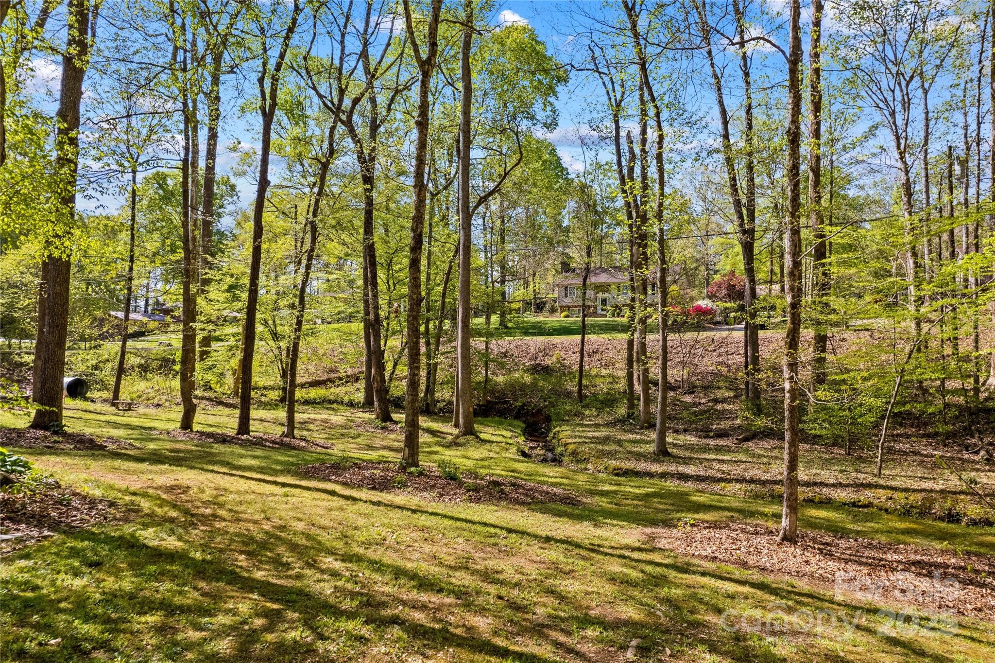 927 Smith Road Property Photo 8