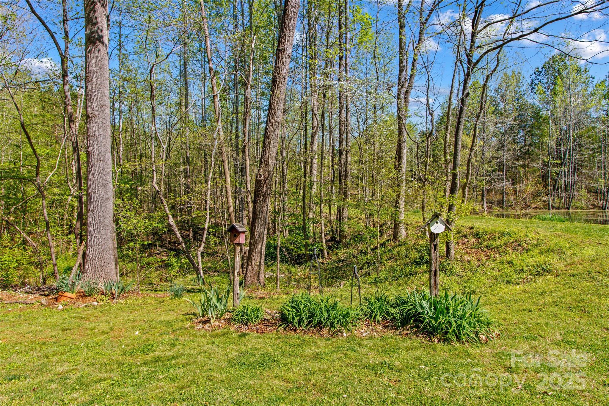 927 Smith Road Property Photo 34