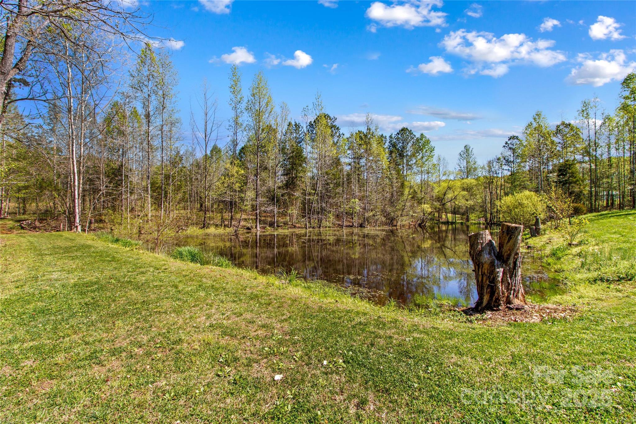 927 Smith Road Property Photo 35