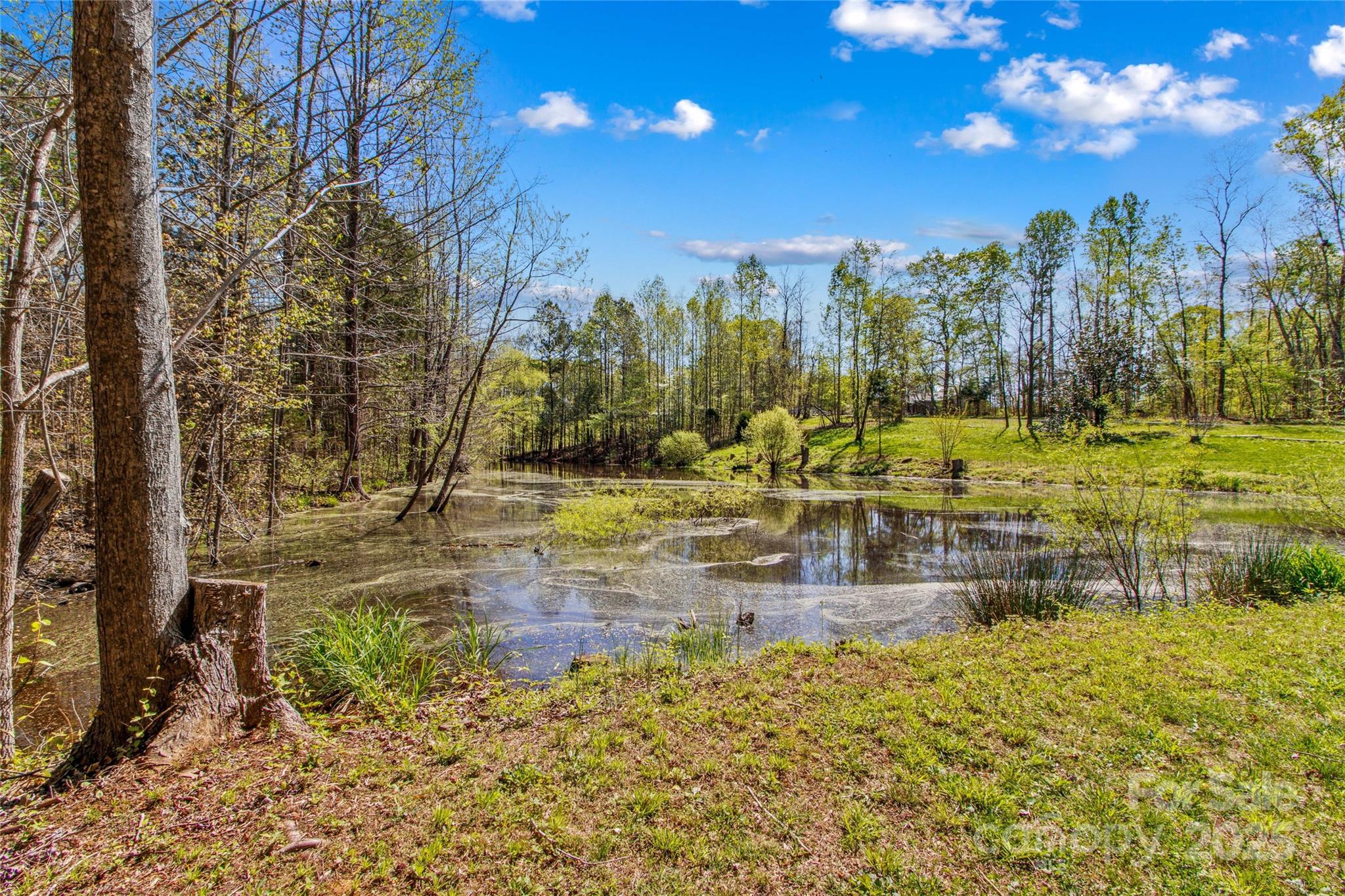 927 Smith Road Property Photo 38