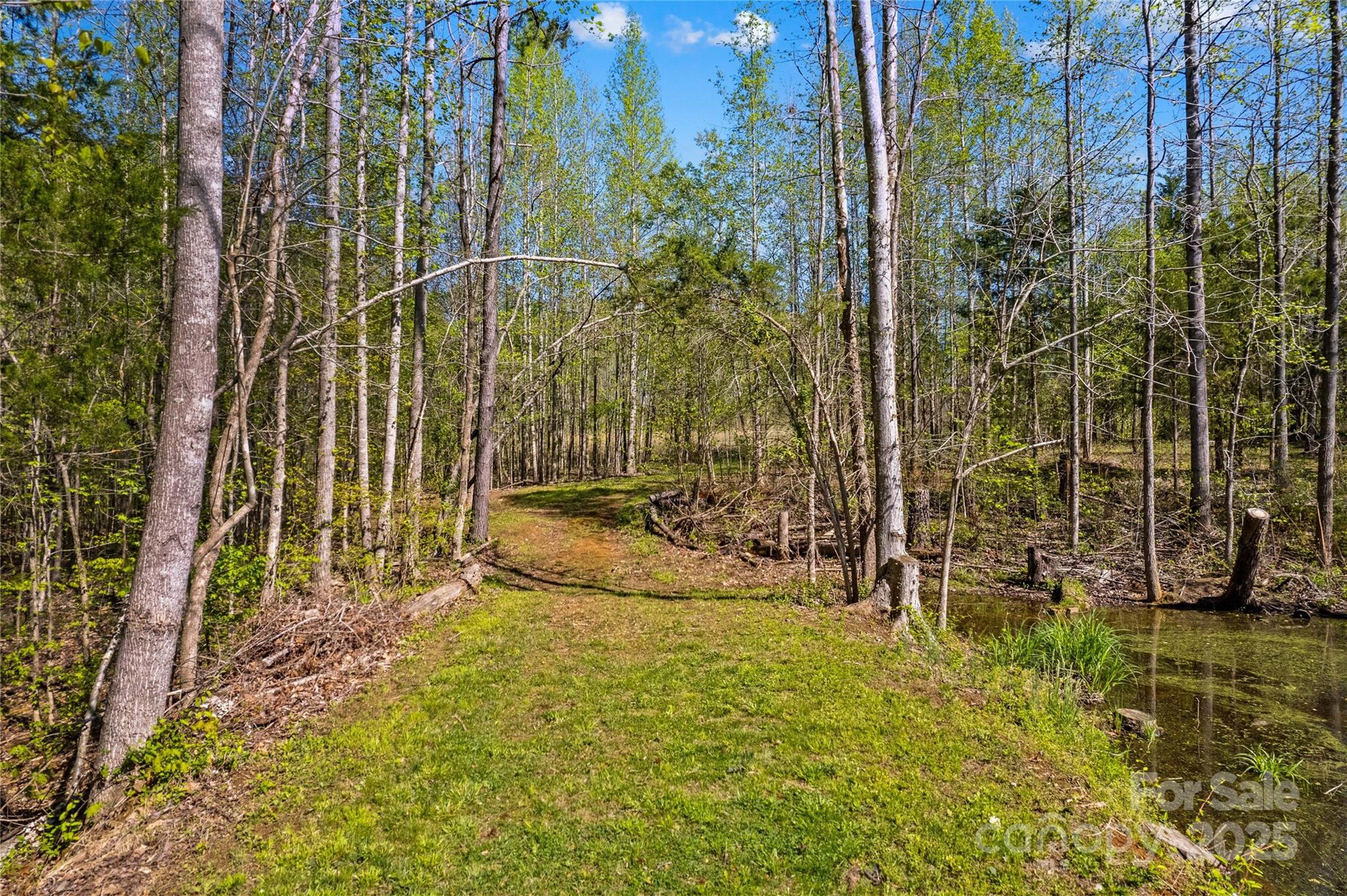 927 Smith Road Property Photo 39