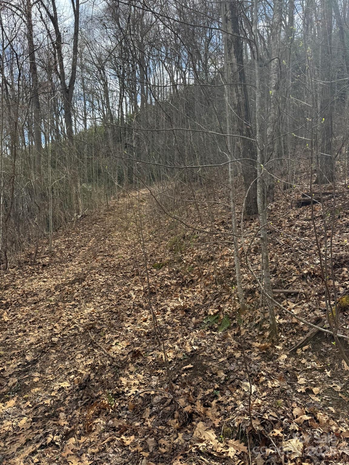 0 E Wabash Drive Property Photo 12