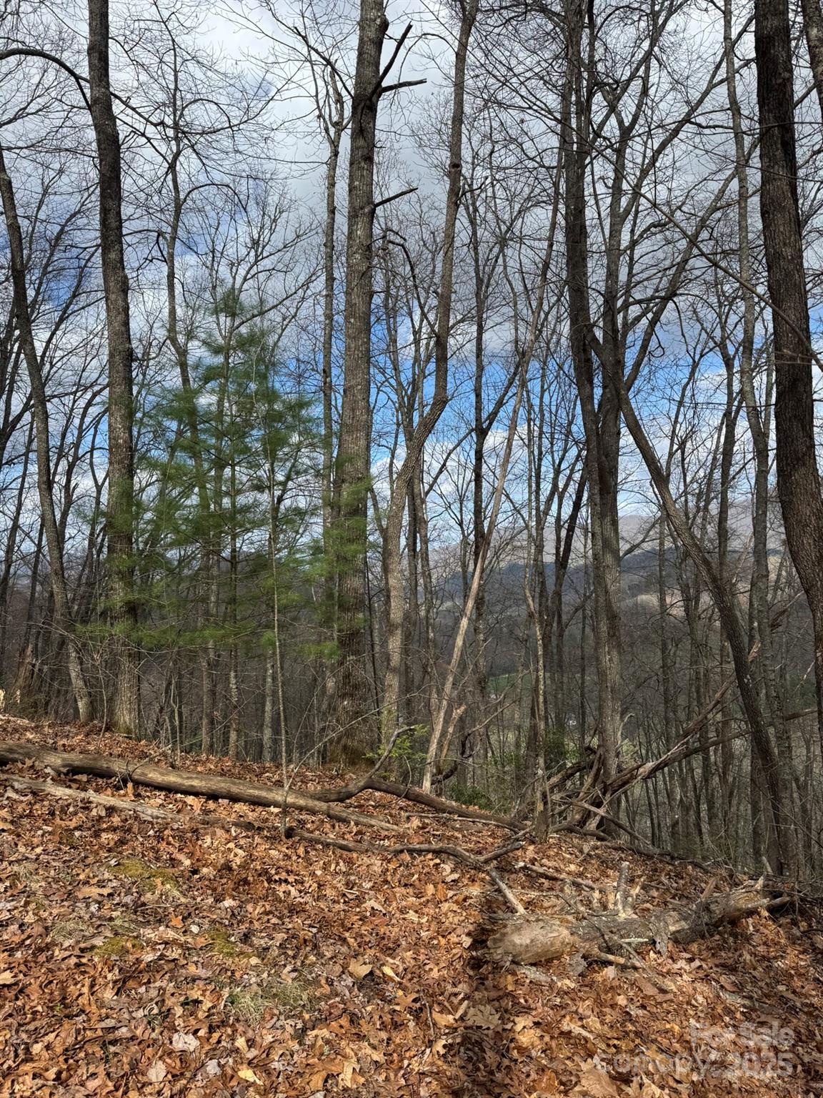 0 E Wabash Drive Property Photo 15