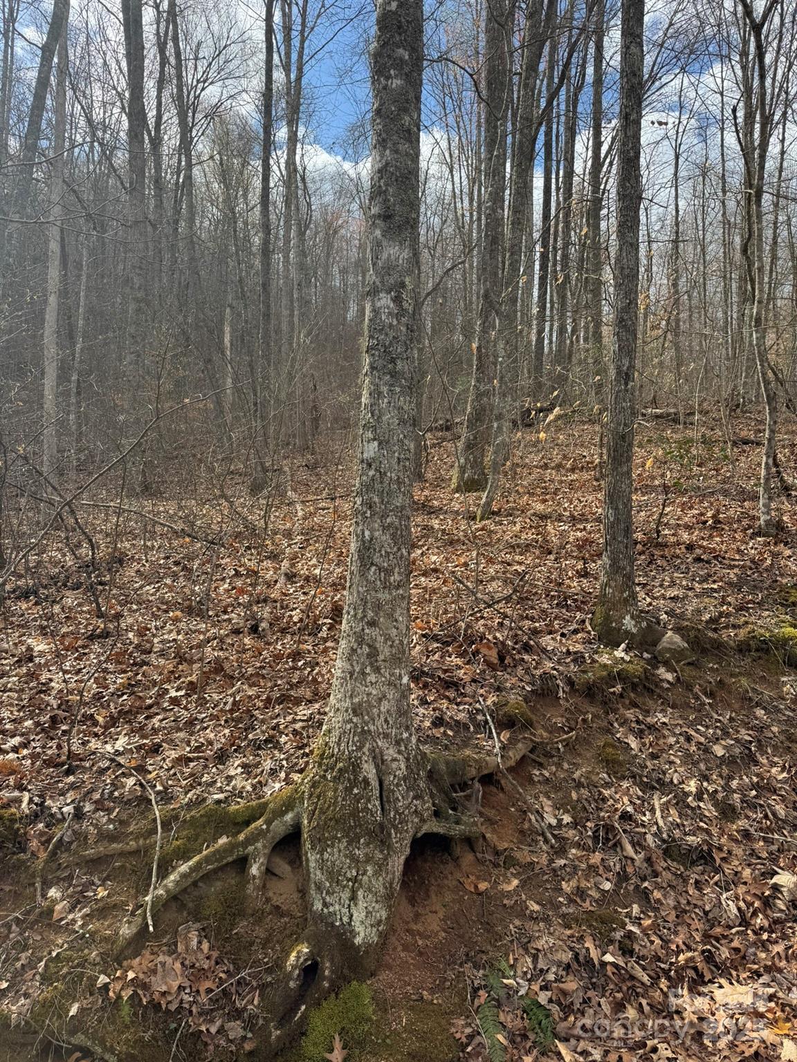 0 E Wabash Drive Property Photo 17