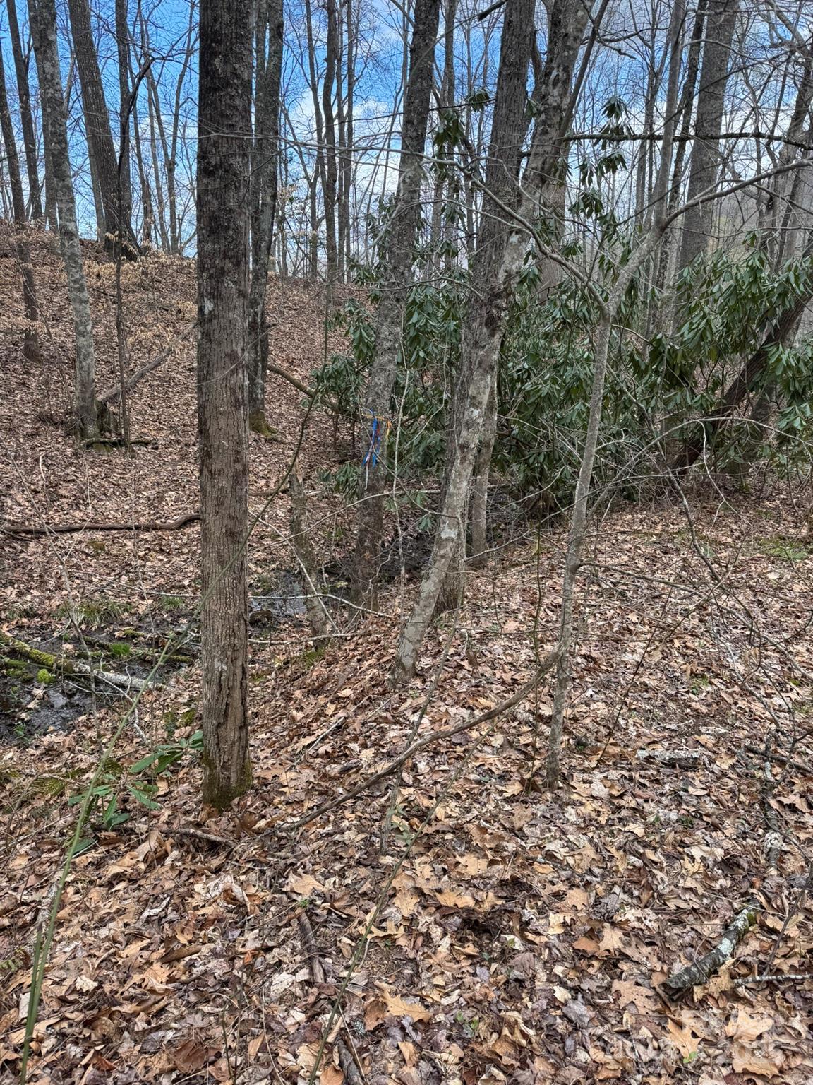 0 E Wabash Drive Property Photo 18