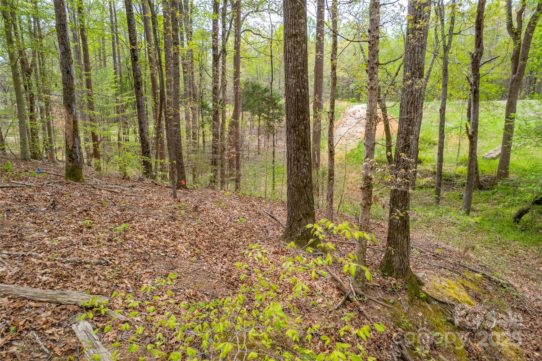 187 Alexander Acres Road Property Photo 4