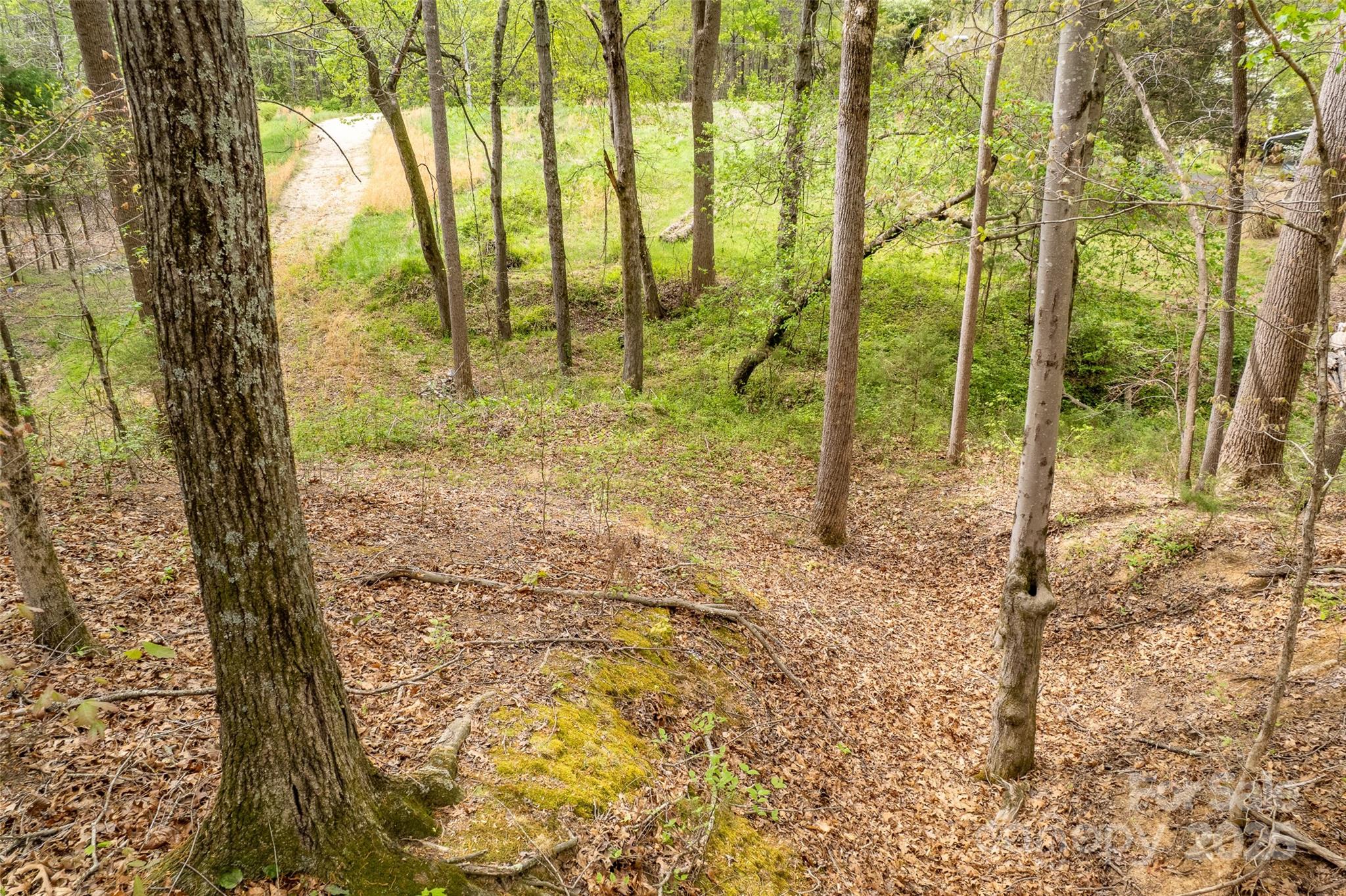187 Alexander Acres Road Property Photo 5