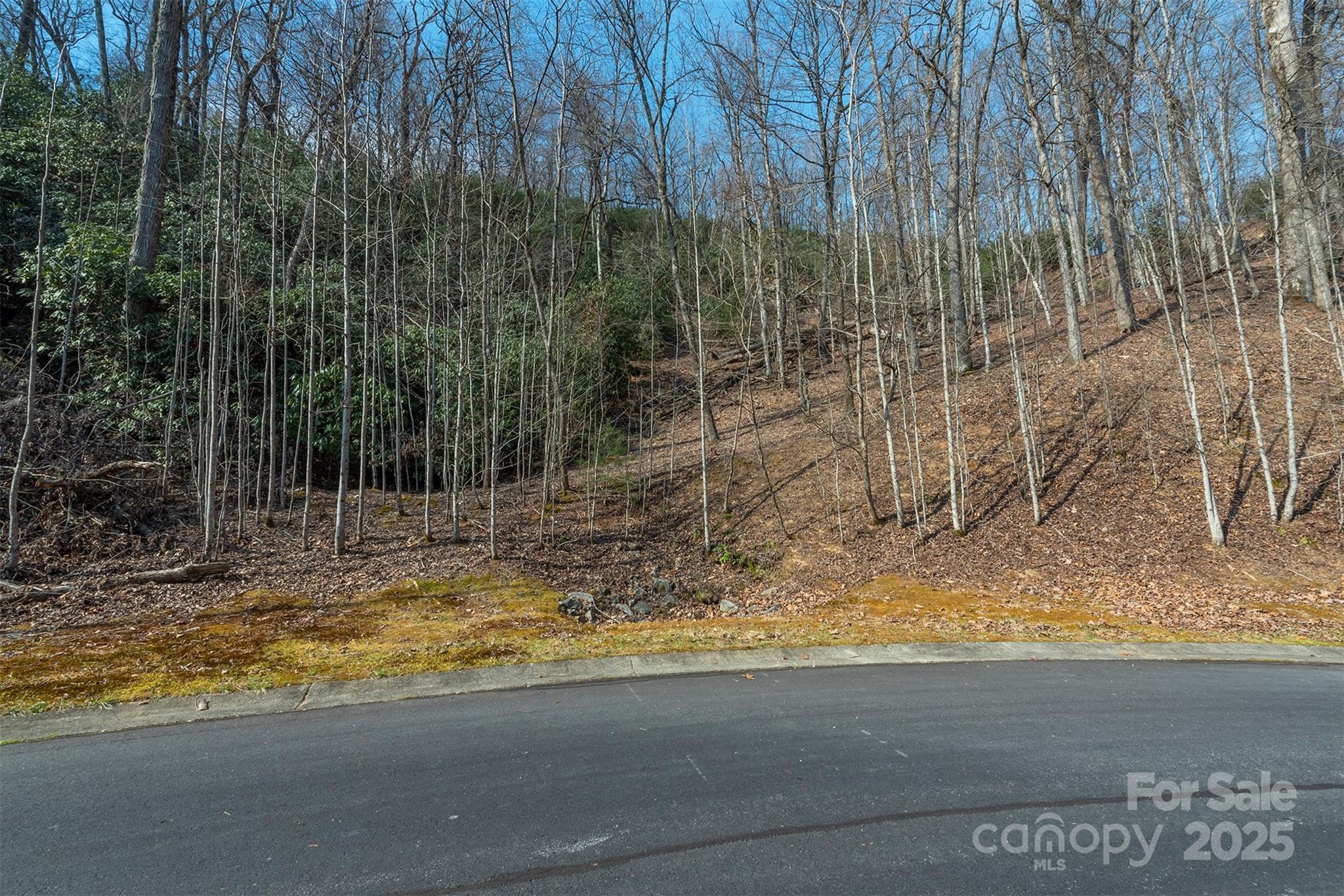 0 Shining Rock Path 11 Property Photo 6