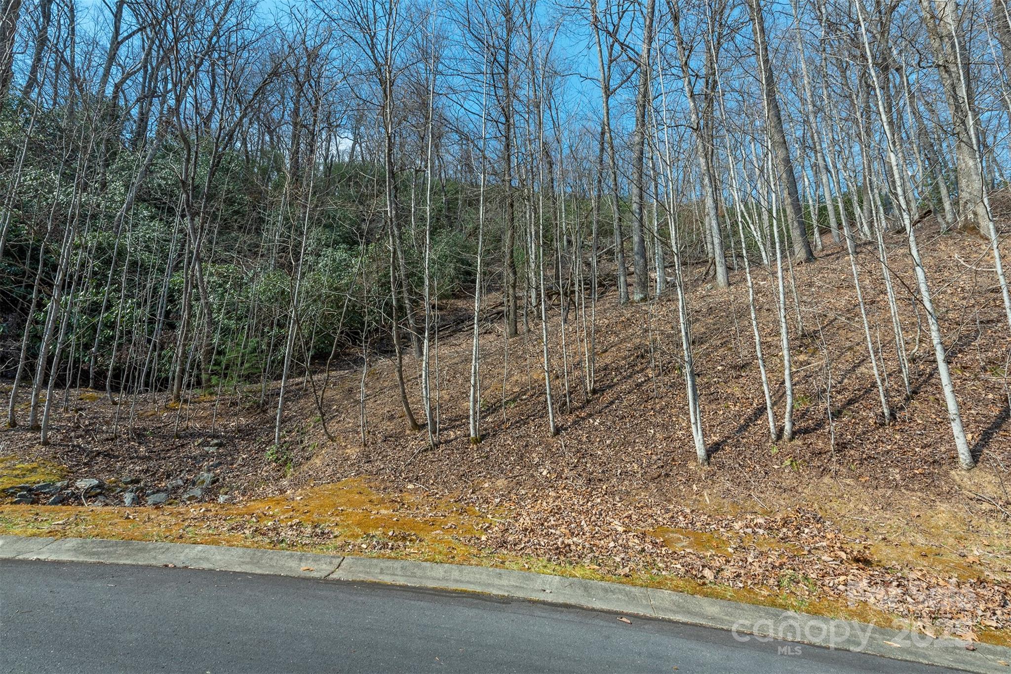 0 Shining Rock Path 11 Property Photo 9