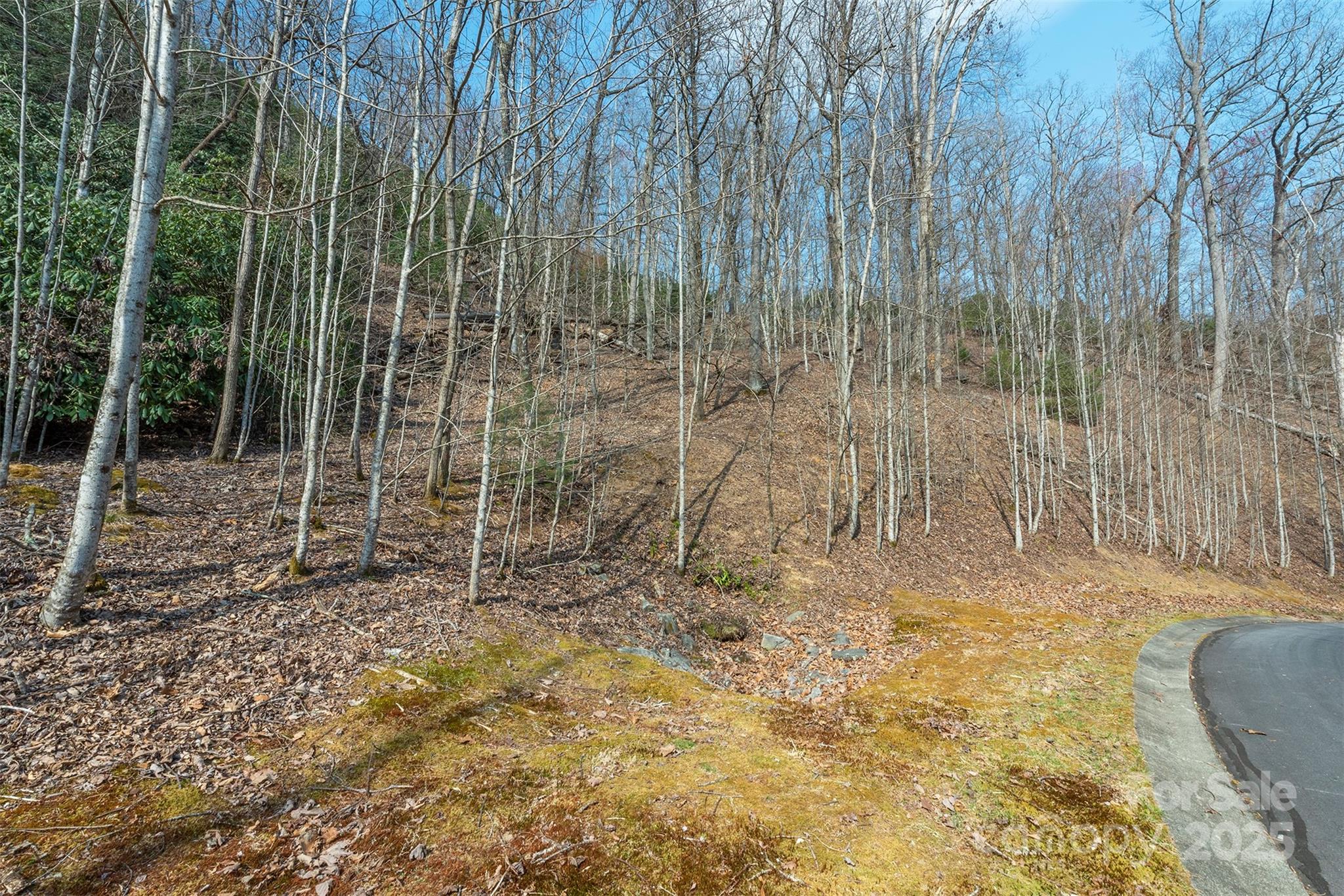 0 Shining Rock Path 11 Property Photo 10