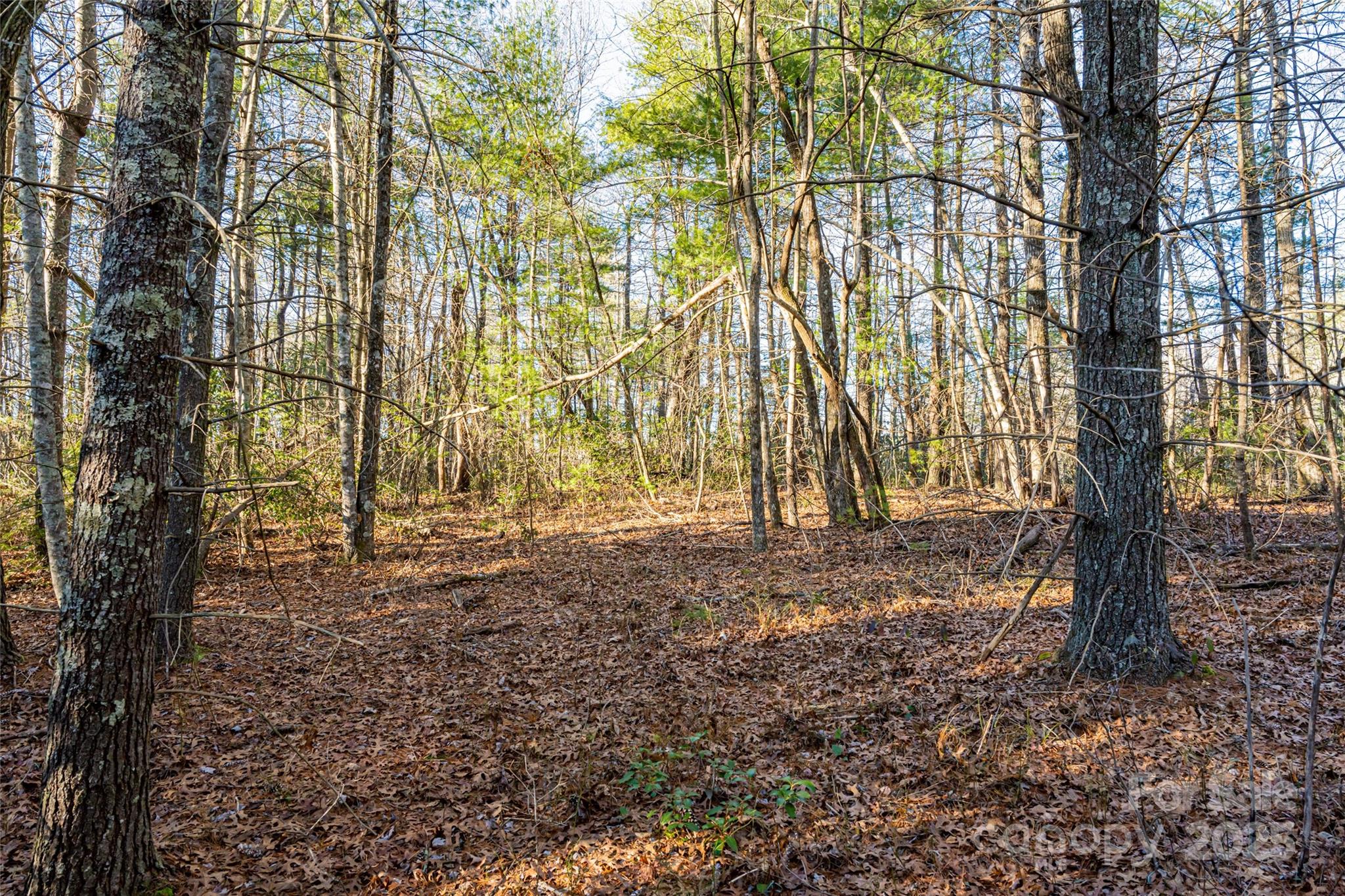 167 Shoal Creek Road 22 Property Photo 4