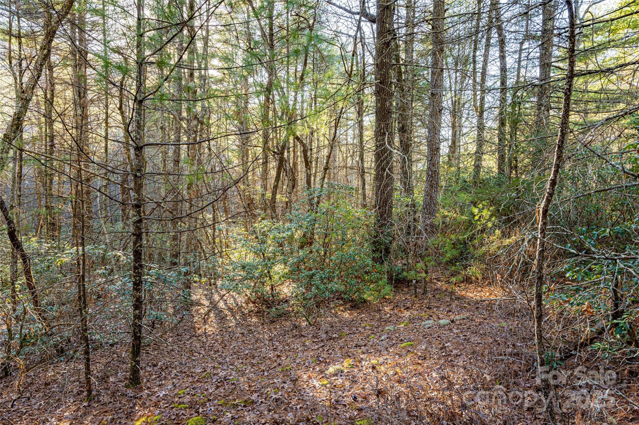 167 Shoal Creek Road 22 Property Photo 6