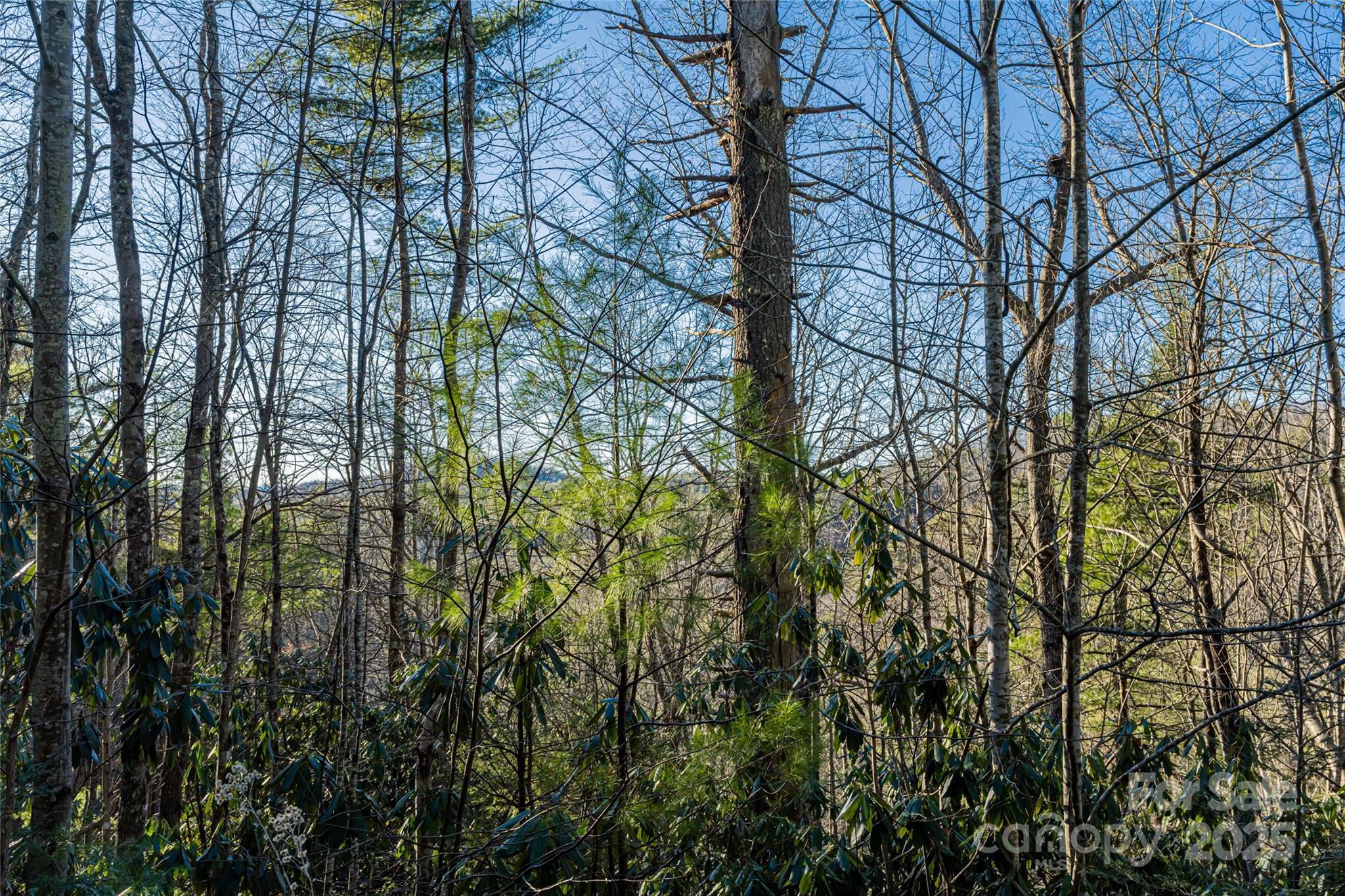 167 Shoal Creek Road 22 Property Photo 7