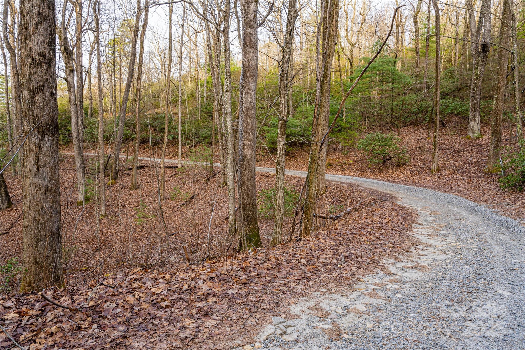 167 Shoal Creek Road 22 Property Photo 8